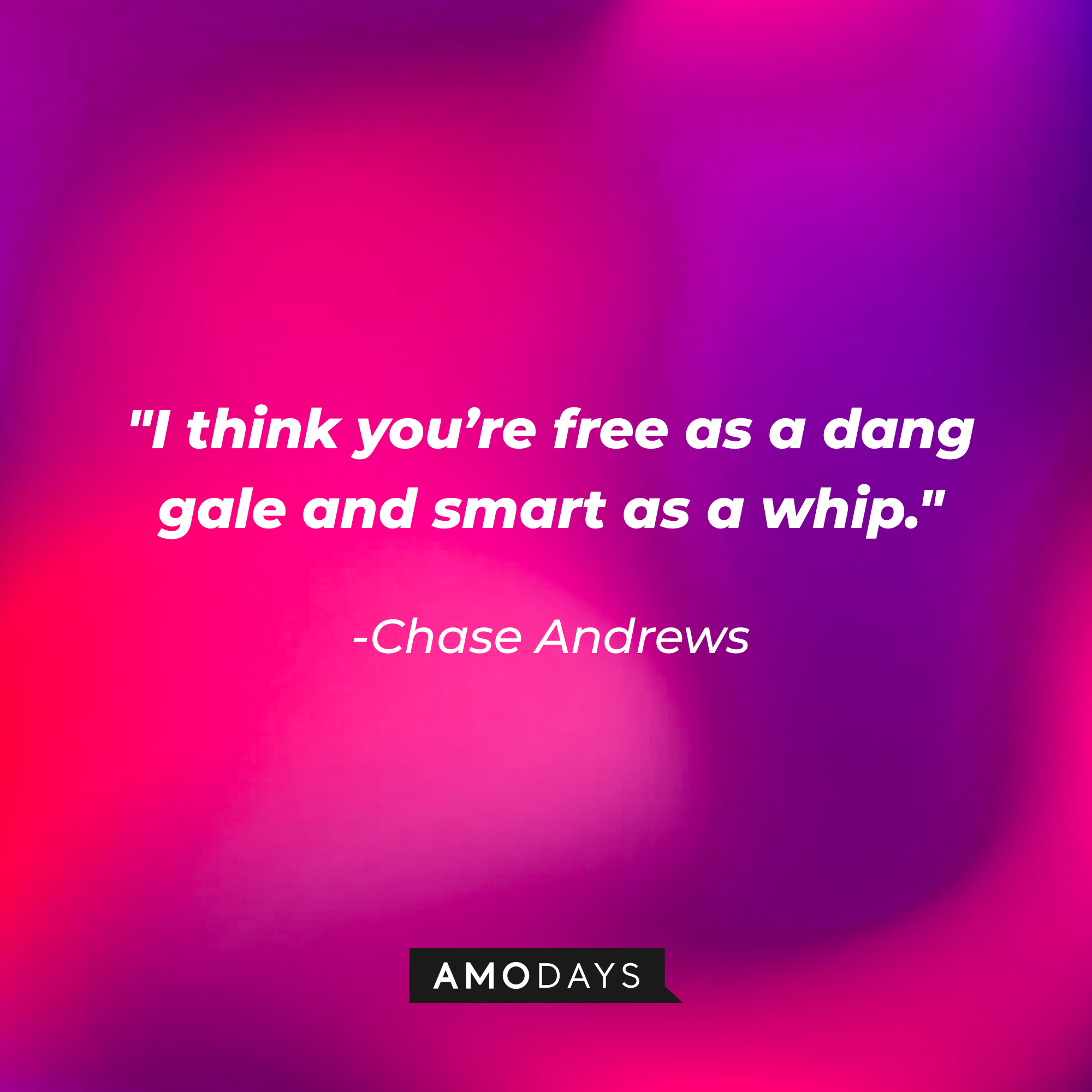 Chase Andrew’s quote: “I think you’re free as a dang gale and smart as a whip.”│Source: AmoDays