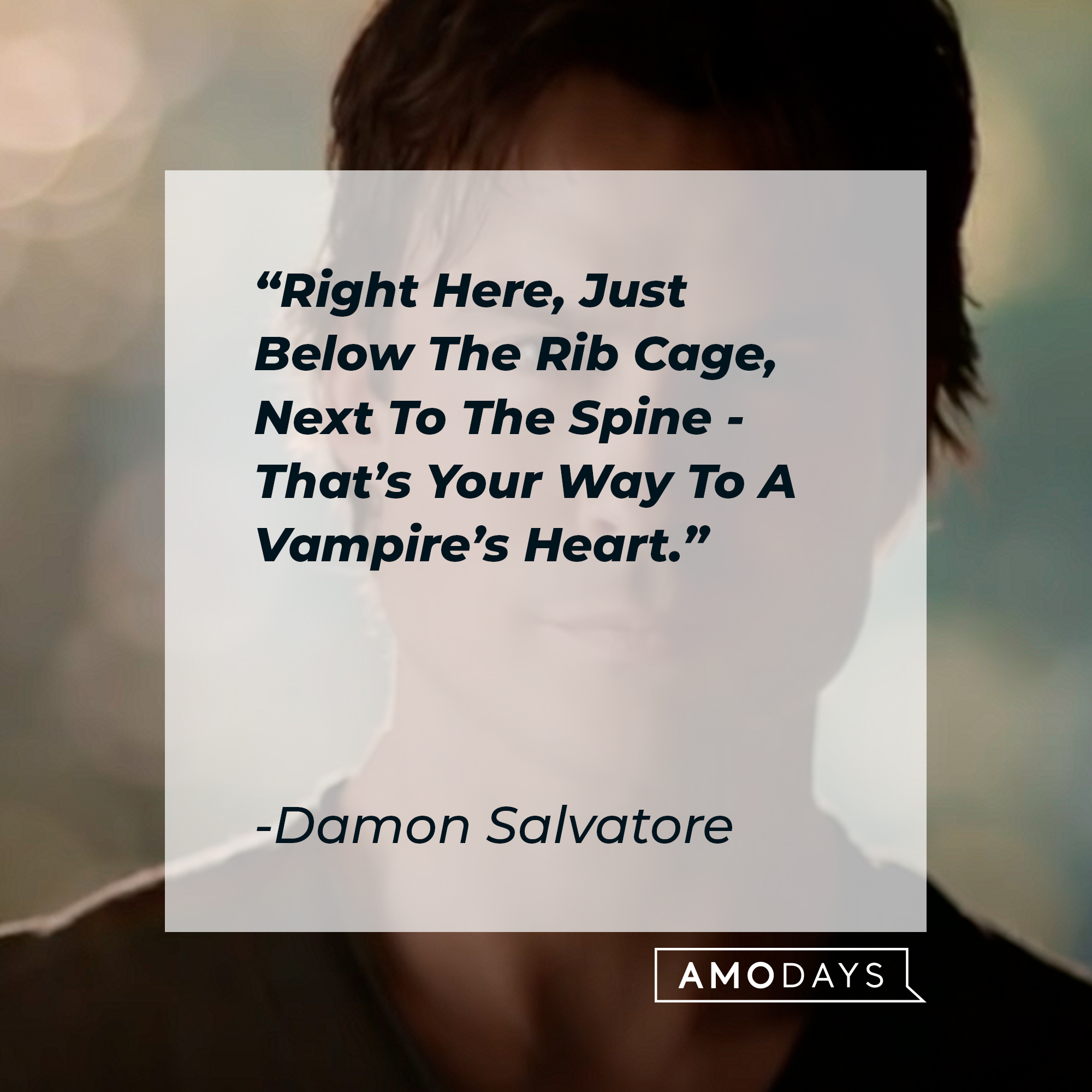 Damon Salvatore's quote: "Right Here, Just Below The Rib Cage, Next To The Spine, That's Your Way To A Vampire's Heart" | Source: youtube.com/stillwatchingnetflix