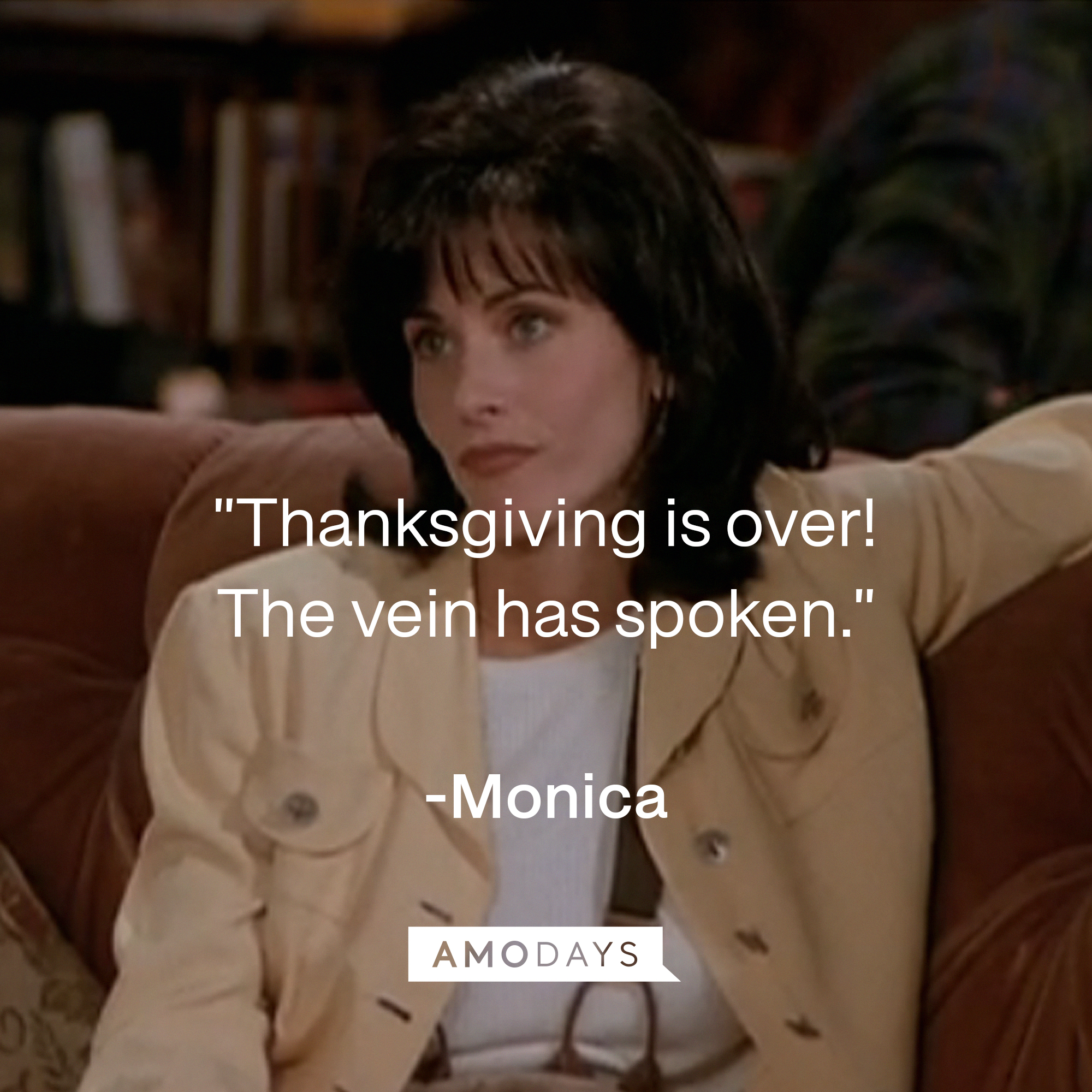 Monica’s quote: "Thanksgiving is over! The vein has spoken." | Source: Facebook/friends.tv