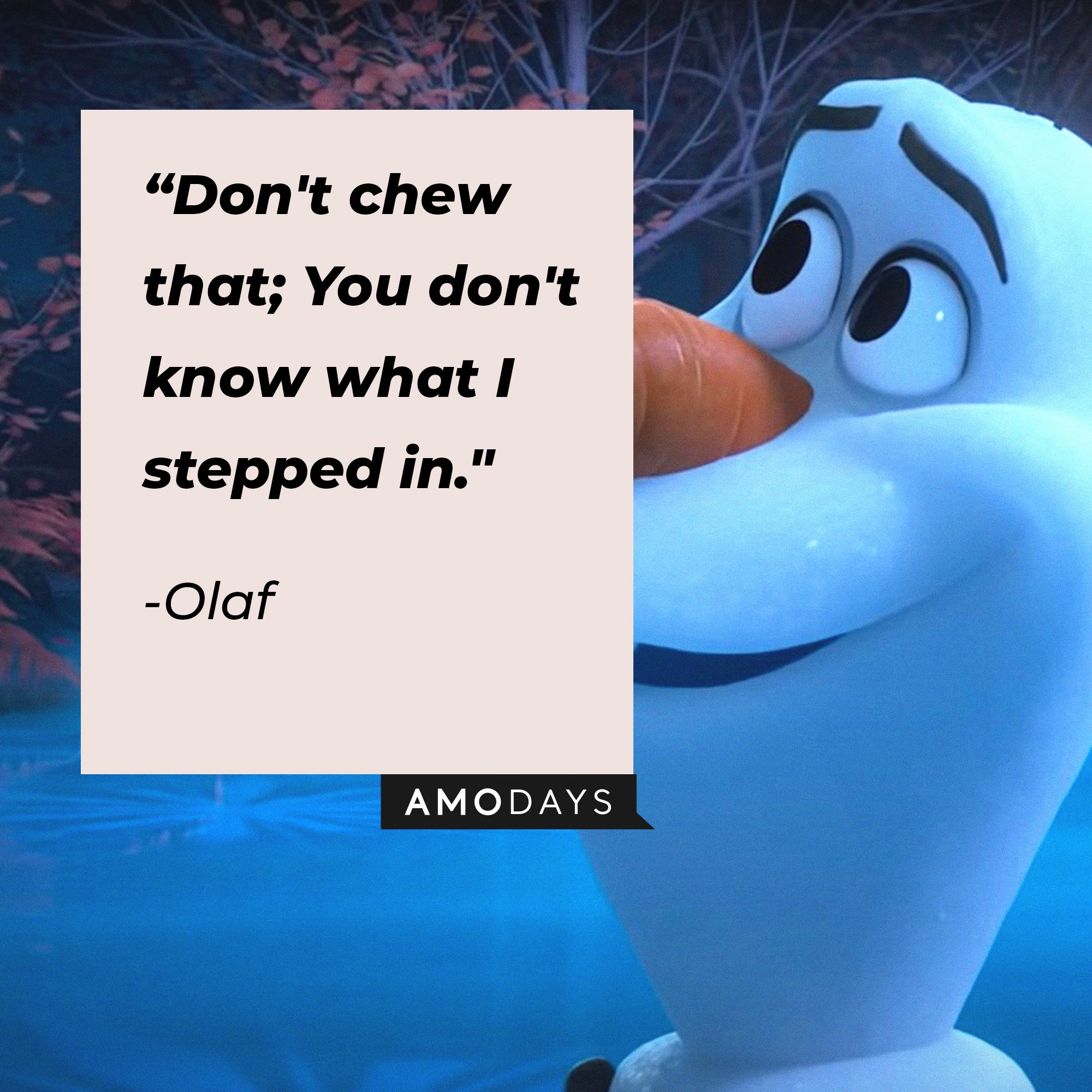 Olaf’s quote: “Don't chew that; You don't know what I stepped in." | Image: AmoDays