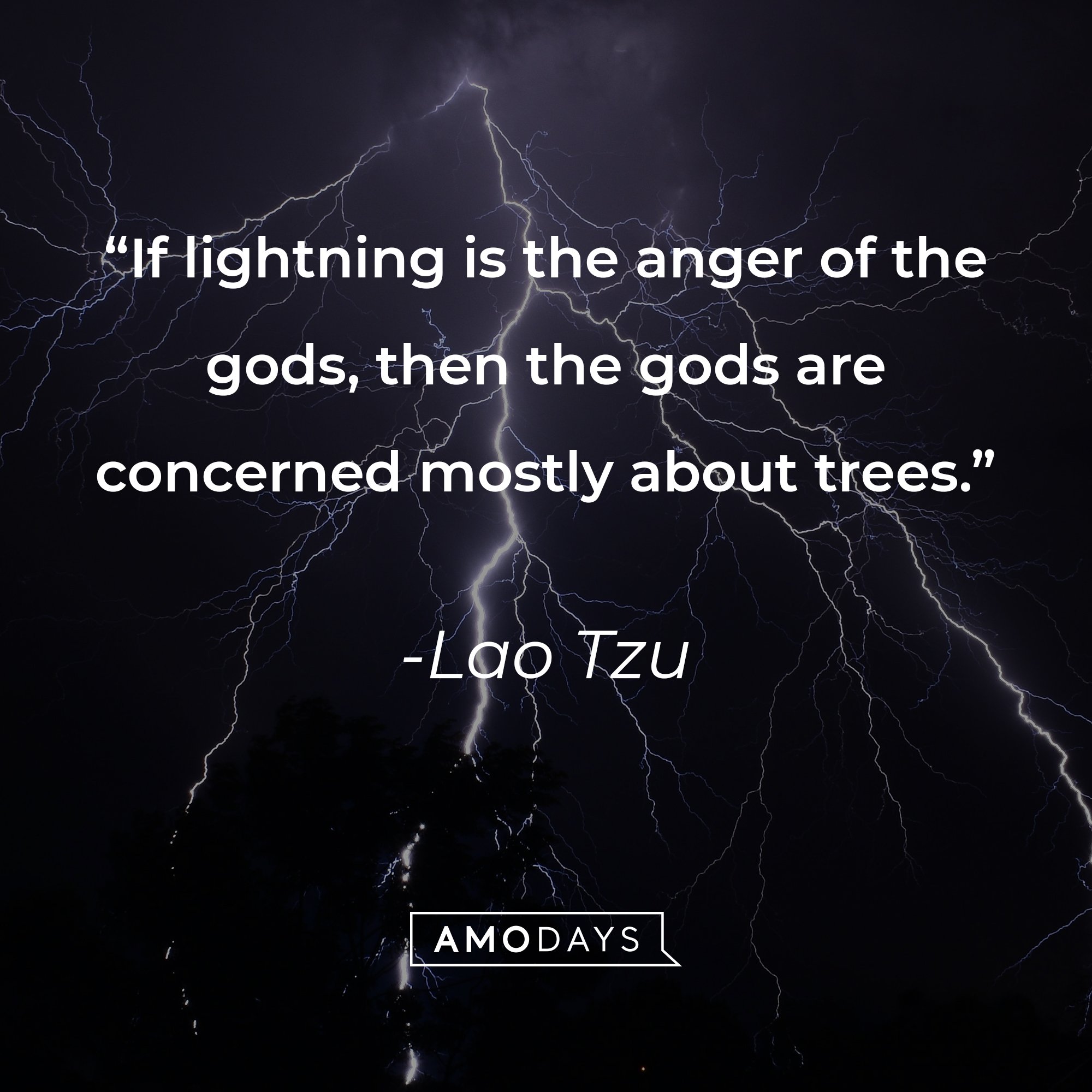 Lao Tzu’s quote: "If lightning is the anger of the gods, then the gods are concerned mostly about trees." | Image: AmoDays    