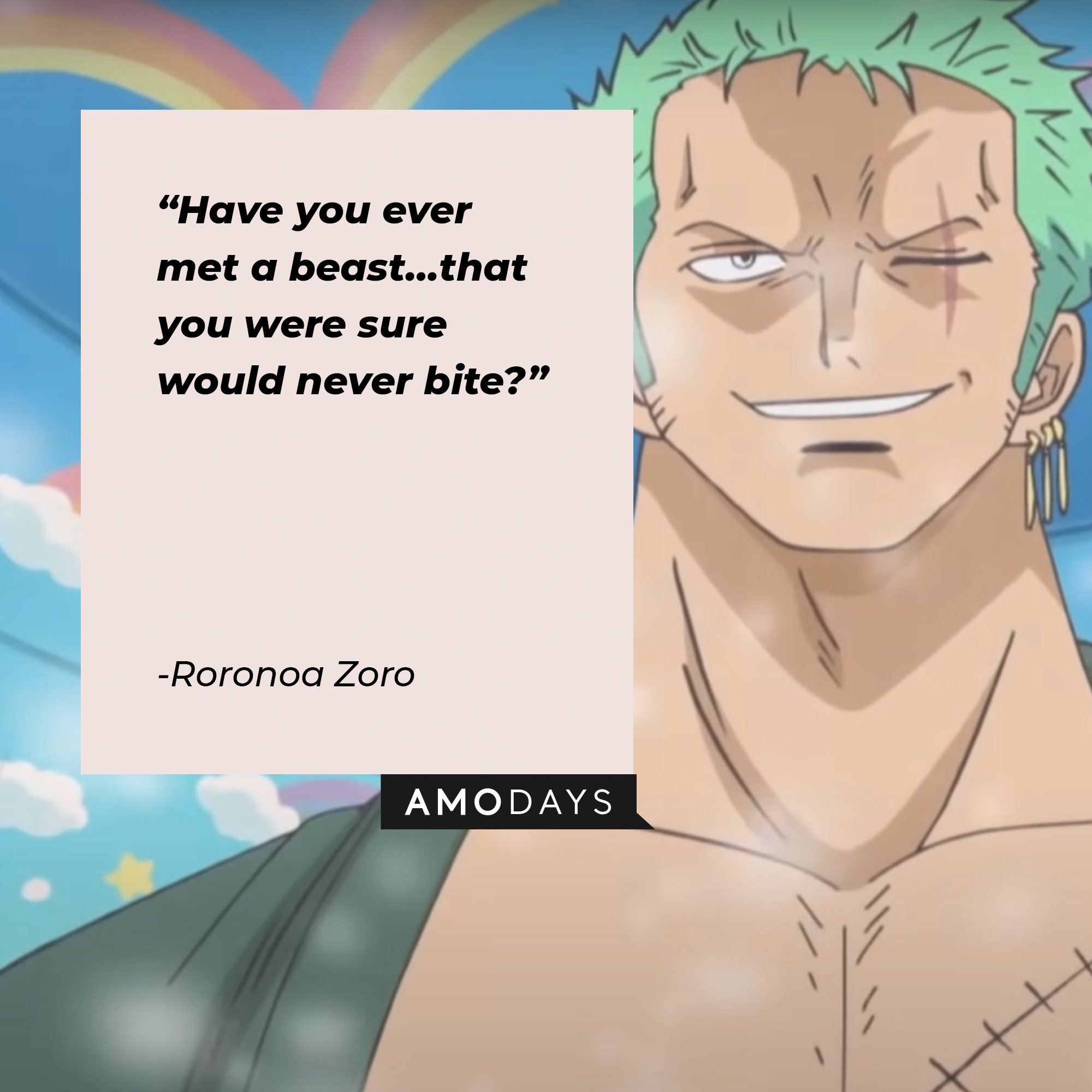 Roronoa Zoro: Have you ever met a fierce beast that you were sure wouldn't  bite?