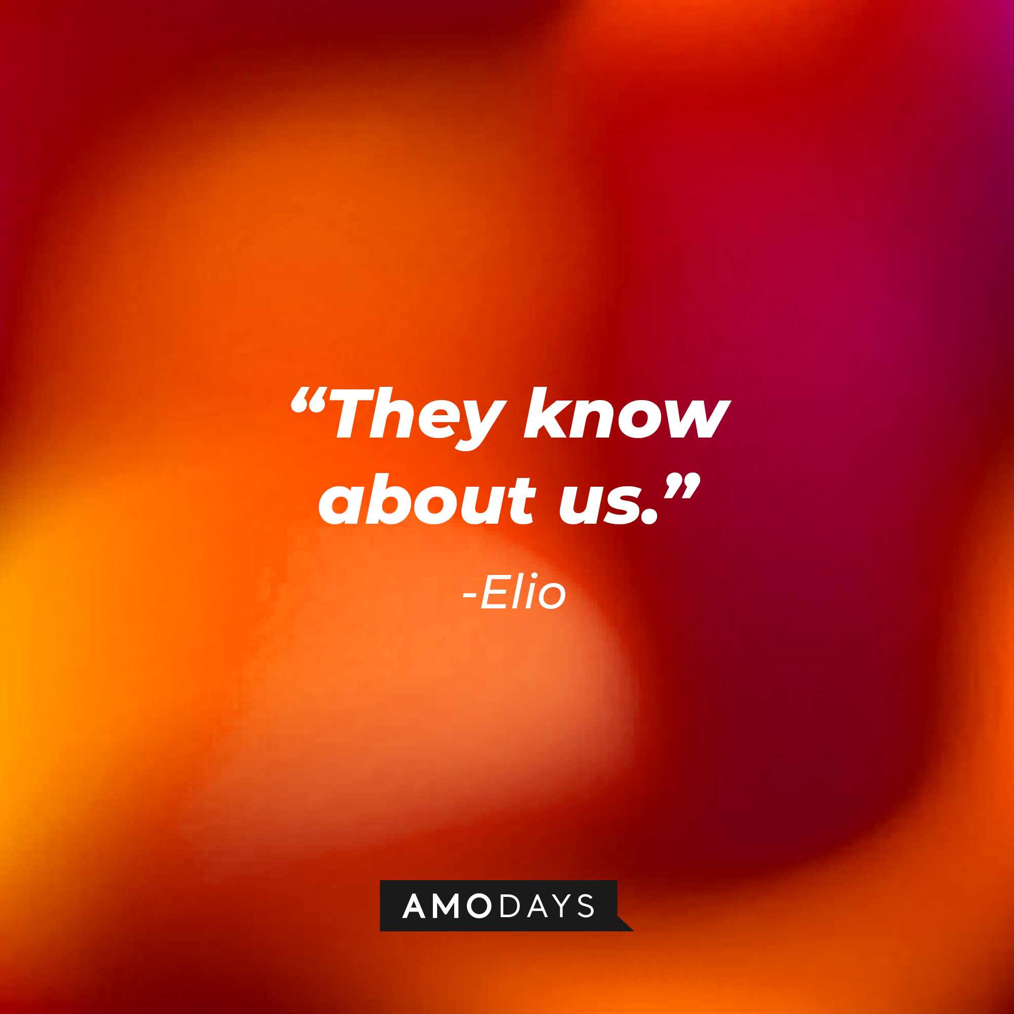 Elio's quote: "They know about us." | Source: AmoDays