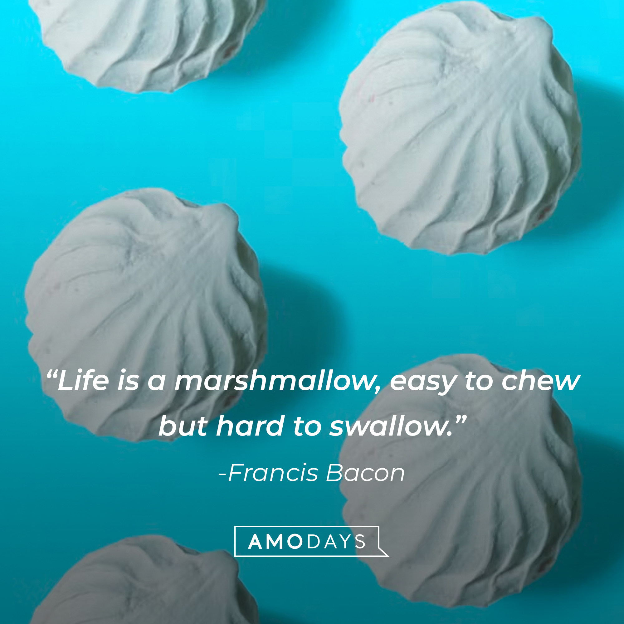 Francis Bacon's quote: "Life is a marshmallow, easy to chew but hard to swallow." Source: Quotestats