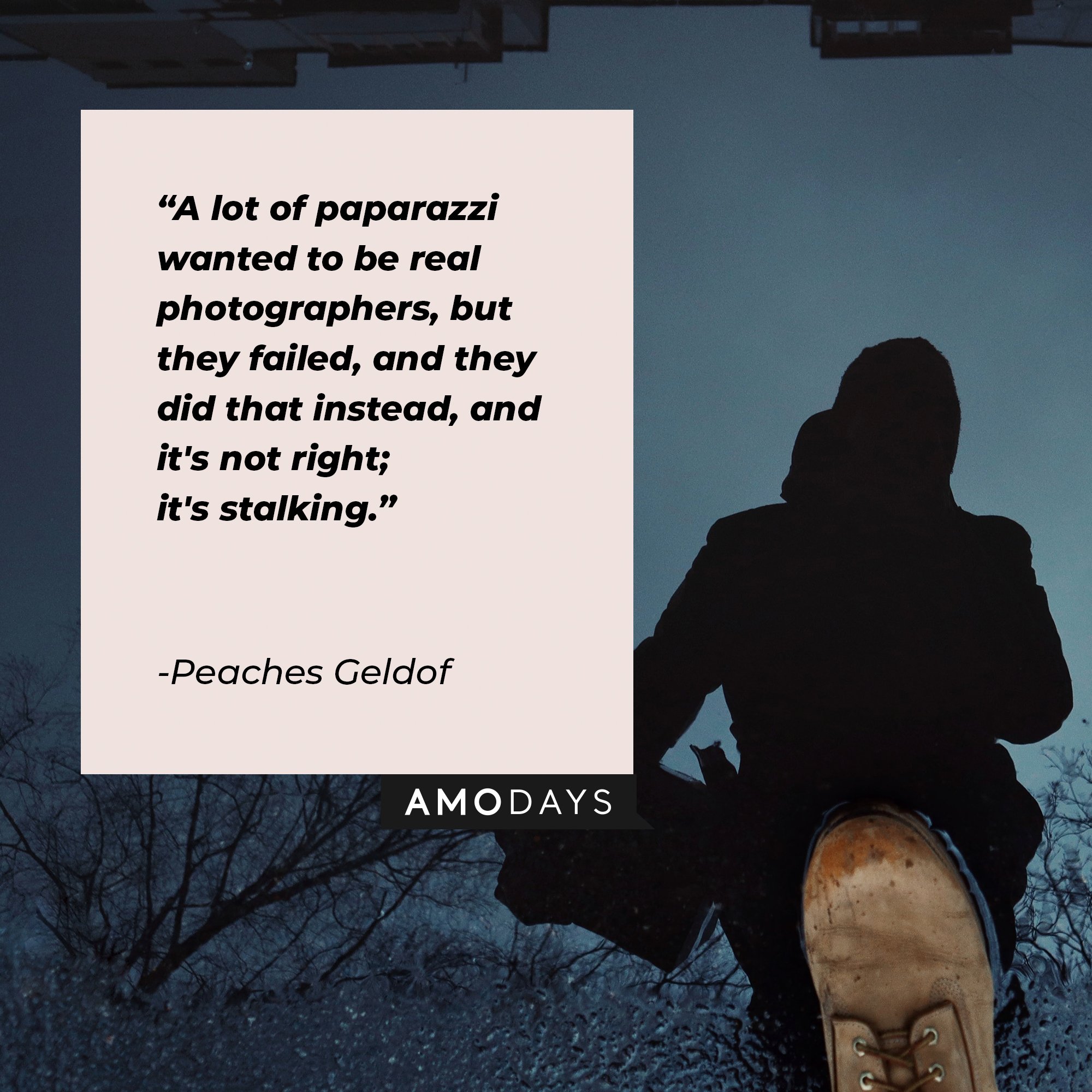 Peaches Geldof’s quote: “A lot of paparazzi wanted to be real photographers, but they failed, and they did that instead, and it's not right; it's stalking.” | Image: AmoDays