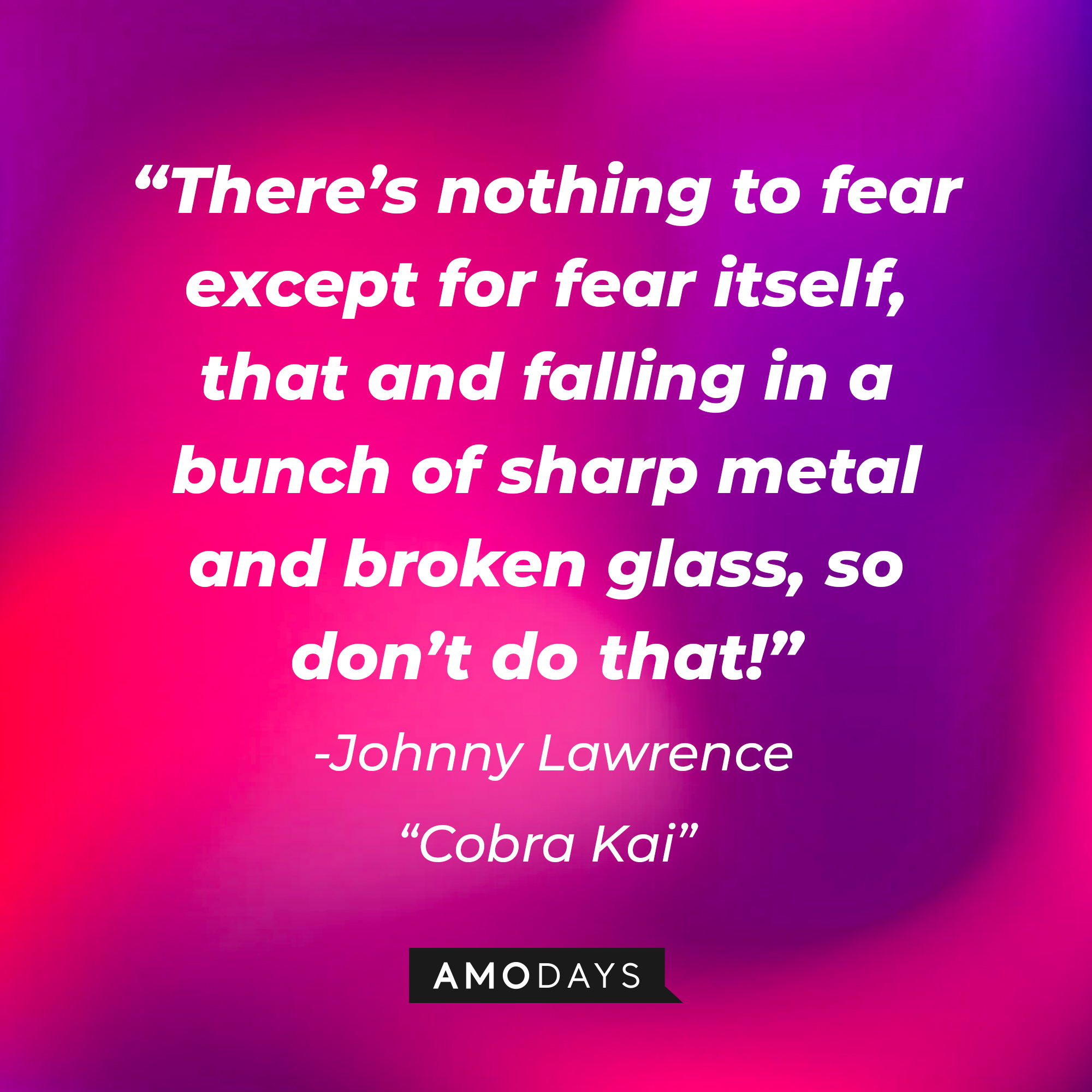 Johnny Lawrence's quote from "Cobra Kai:" “There’s nothing to fear except for fear itself, that and falling in a bunch of sharp metal and broken glass, so don’t do that!”  | Source: AmoDays