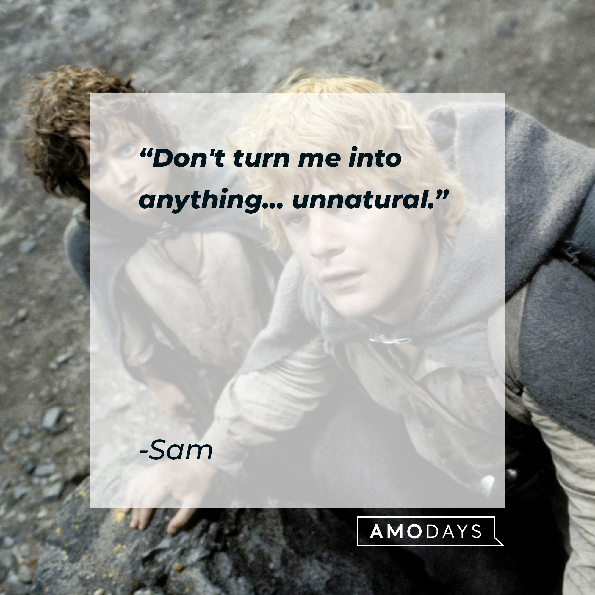 Sam's quote: "Don't turn me into anything... unnatural." | Source: facebook.com/lordoftheringstrilogy