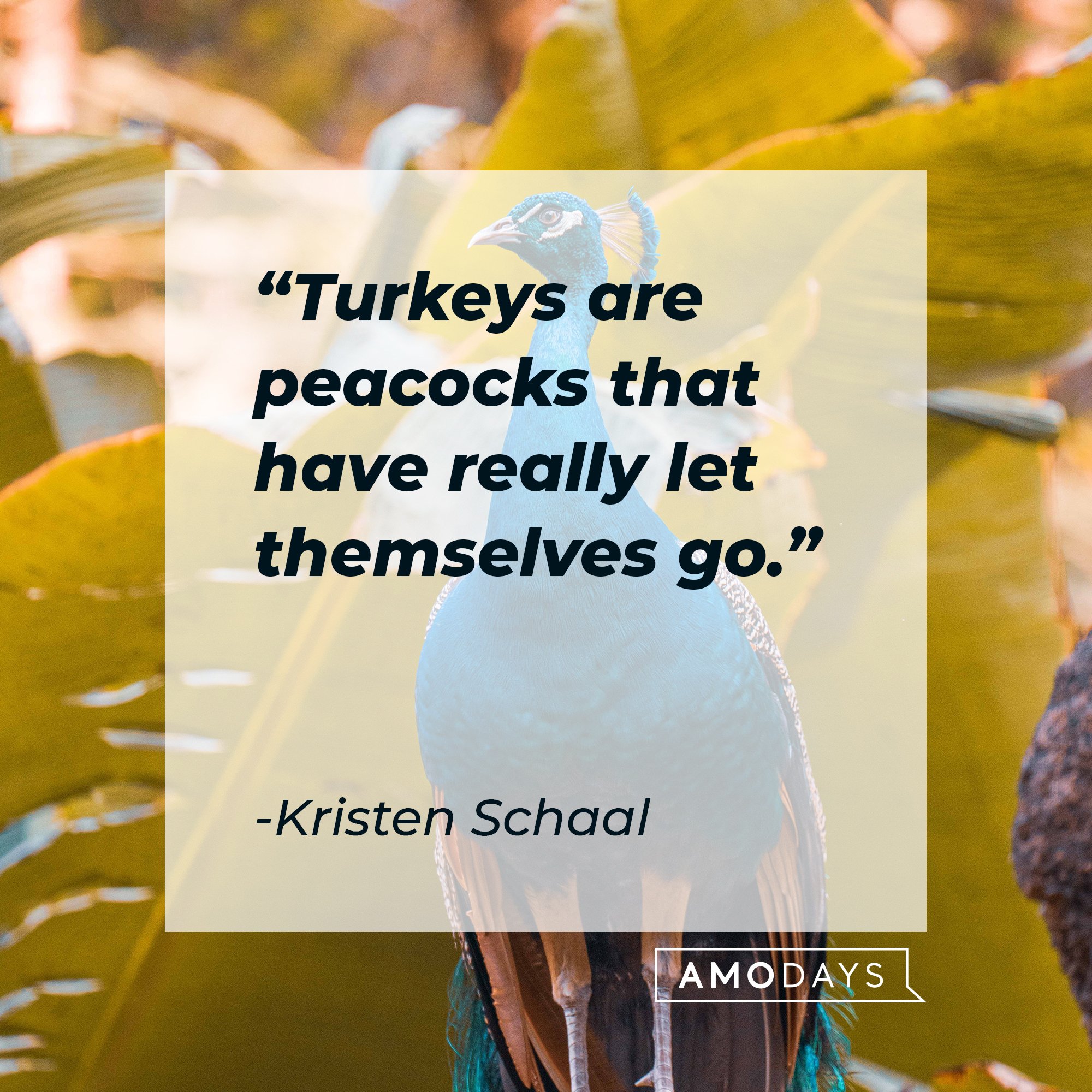 Kristen Schaal's quote: "Turkeys are peacocks that have really let themselves go." | Image: AmoDays