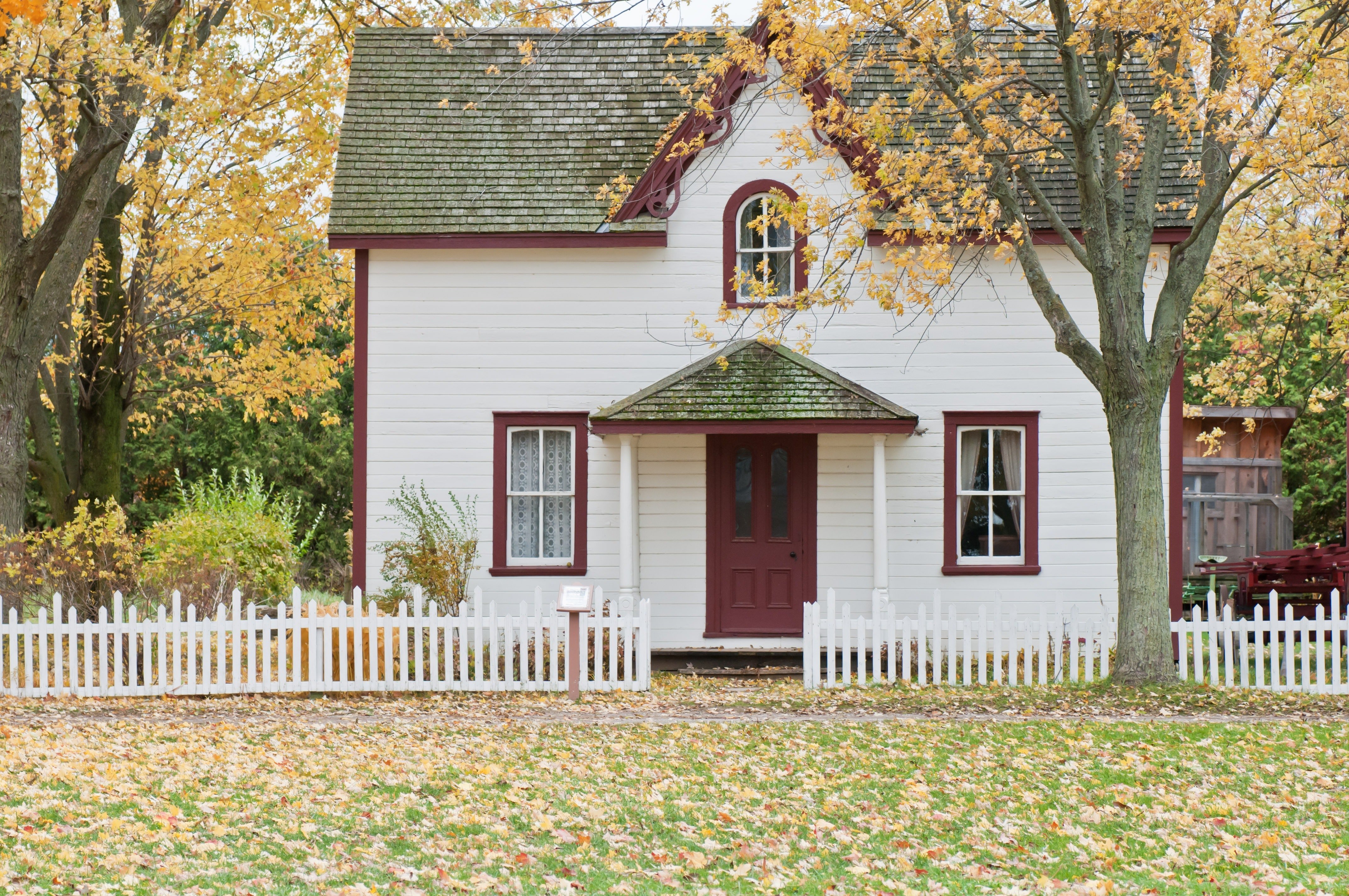 Officer Johnson took Abigail and her family to their old neighborhood. | Source: Pexels