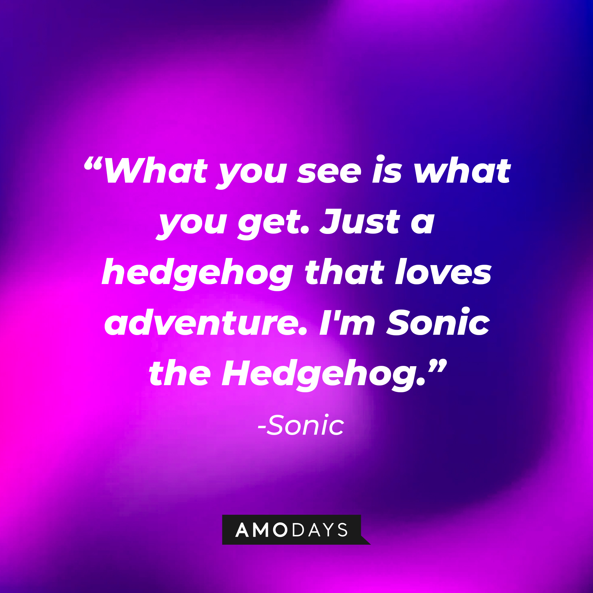 Sonic's quote: "What you see is what you get. Just a hedgehog that loves adventure. I'm Sonic the Hedgehog." | Source: Amodays