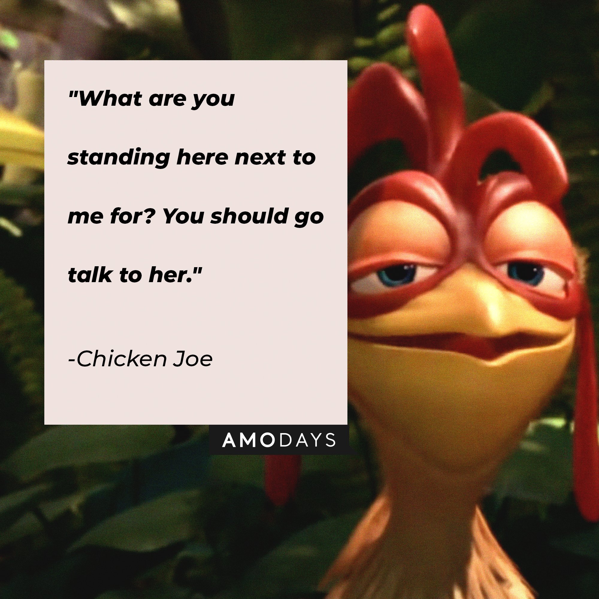 Chicken Joe's quote: "What are you standing here next to me for? You should go talk to her." | Image: AmoDays