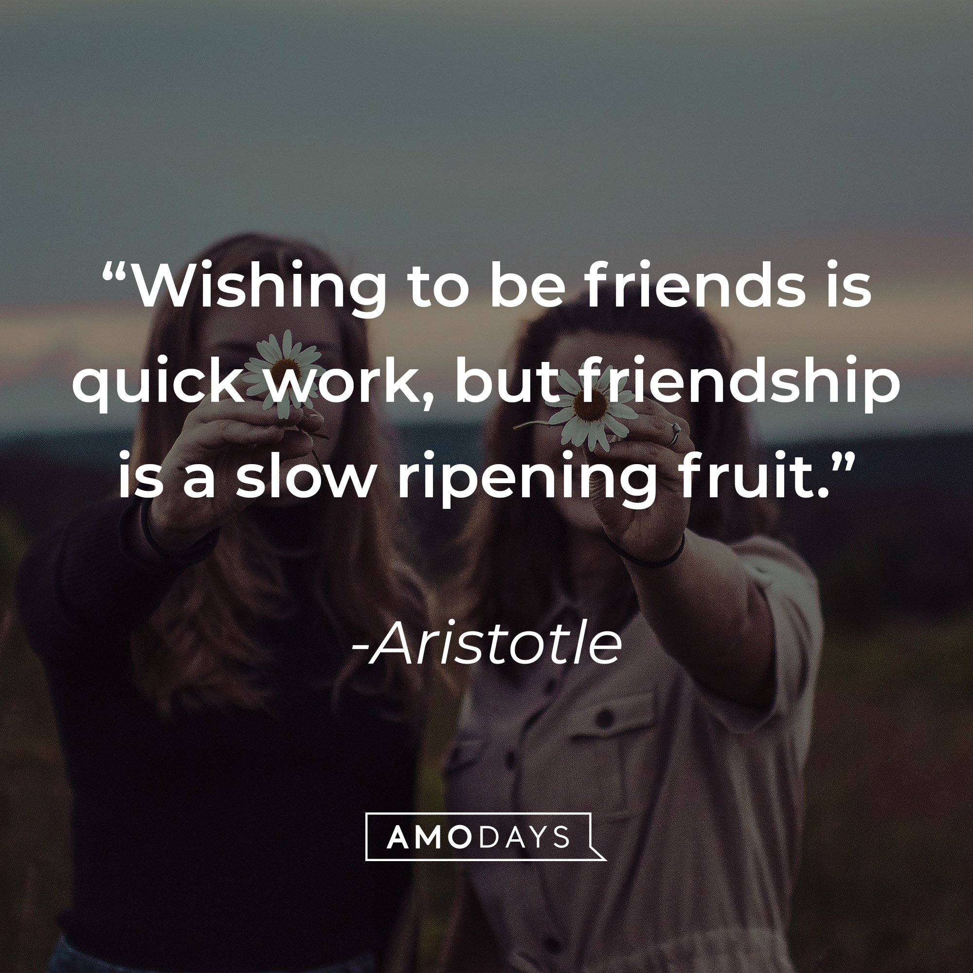 Aristotle's quote: "Wishing to be friends is quick work, but friendship is a slow ripening fruit." | Source: Unsplash