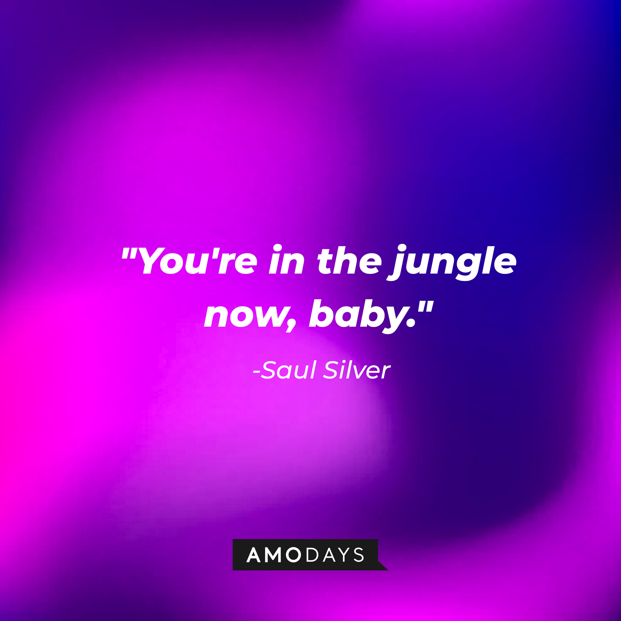 Saul Silver's quote: "You're in the jungle now, baby." | Source: AmoDays