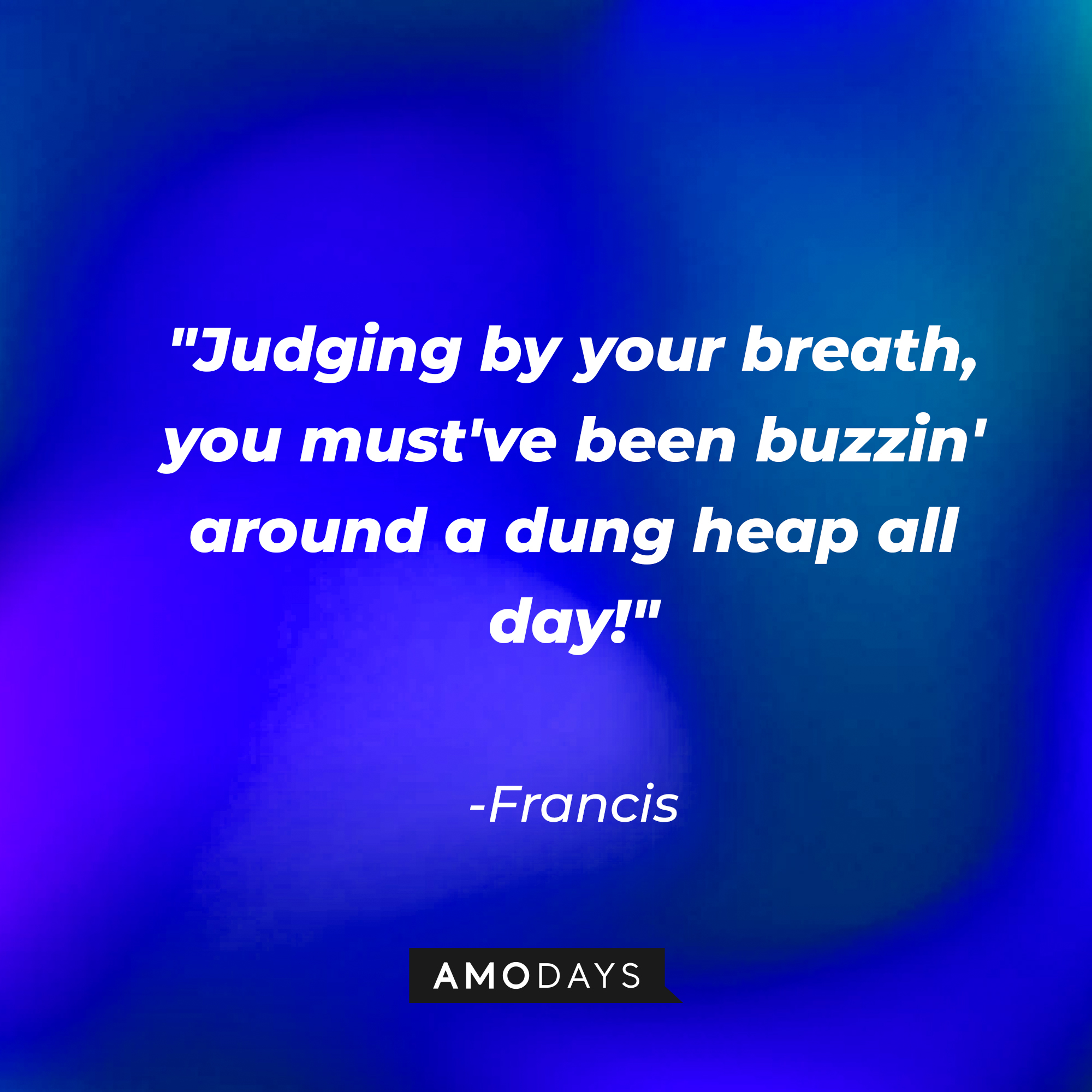 Francis's quote: "Judging by your breath, you must've been buzzin' around a dung heap all day!" | Source: AmoDays