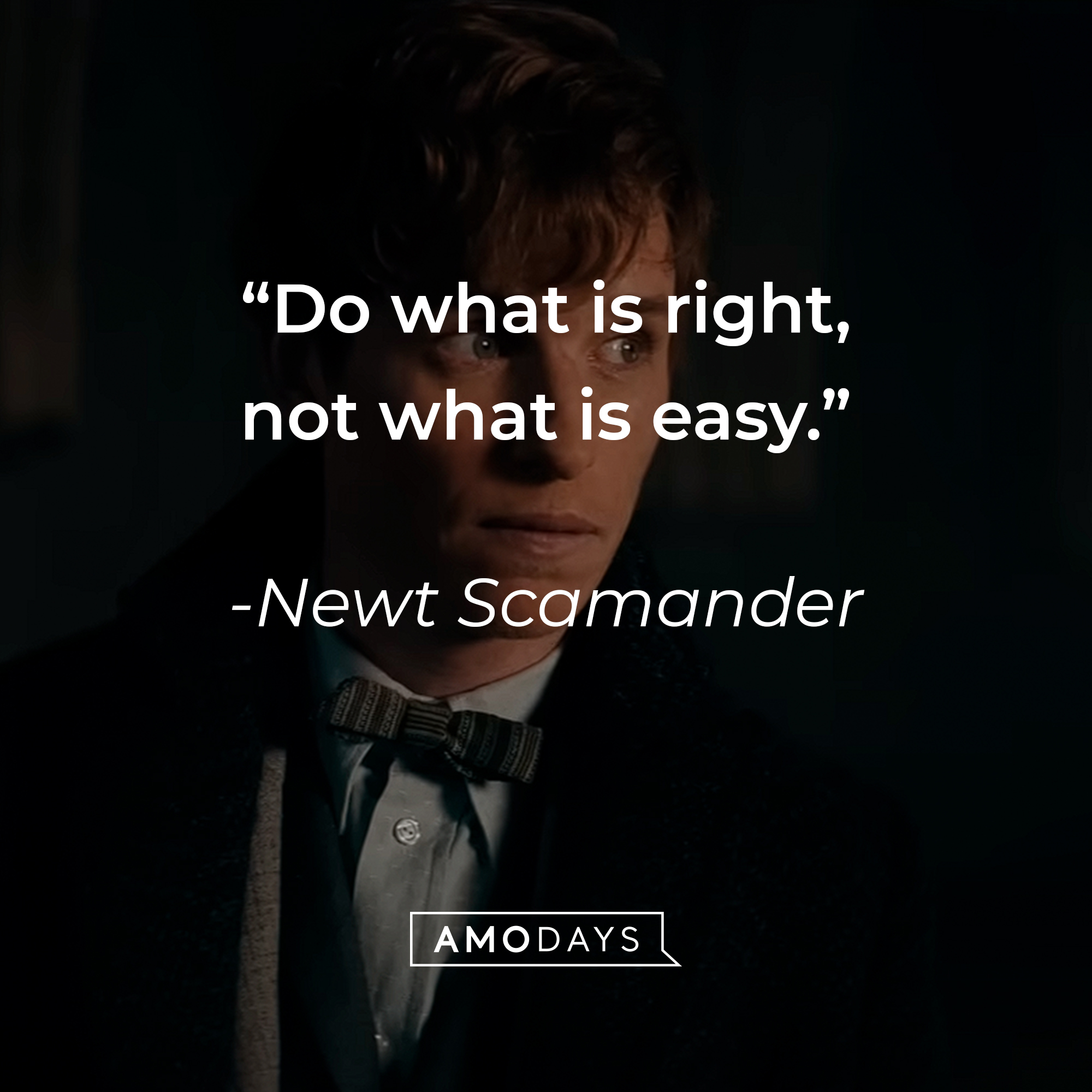 Newt Scamander, with his quote: “Do what is right, not what is easy.” | Source: Youtube.com/WarnerBrosPictures