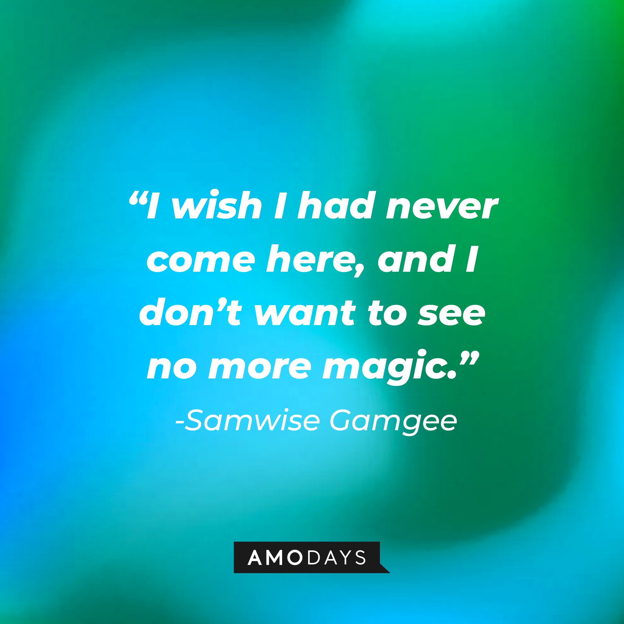 Samwise Gamgee's quote: “I wish I had never come here, and I don’t want to see no more magic." | Source: Amodays