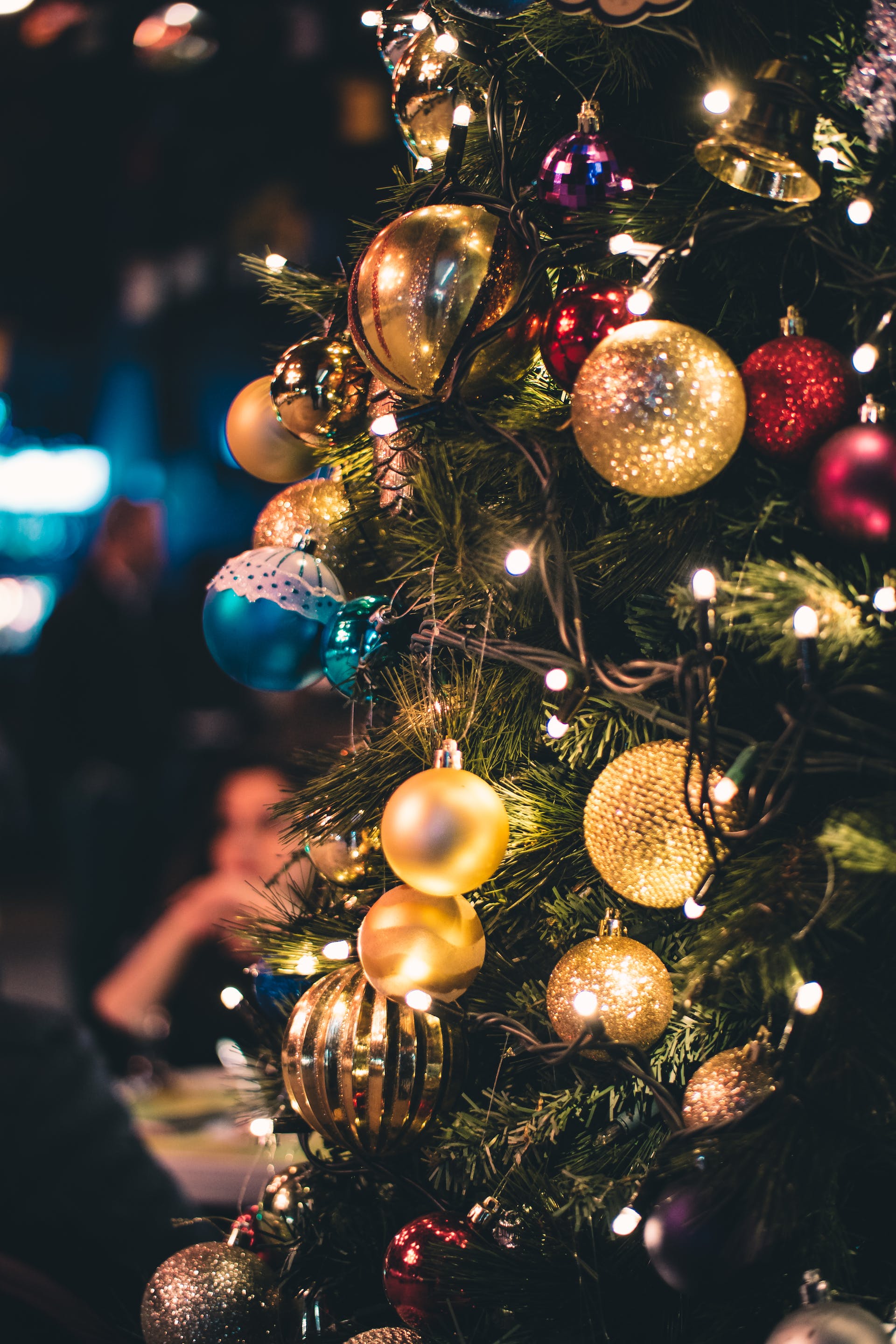 A Christmas tree | Source: Pexels