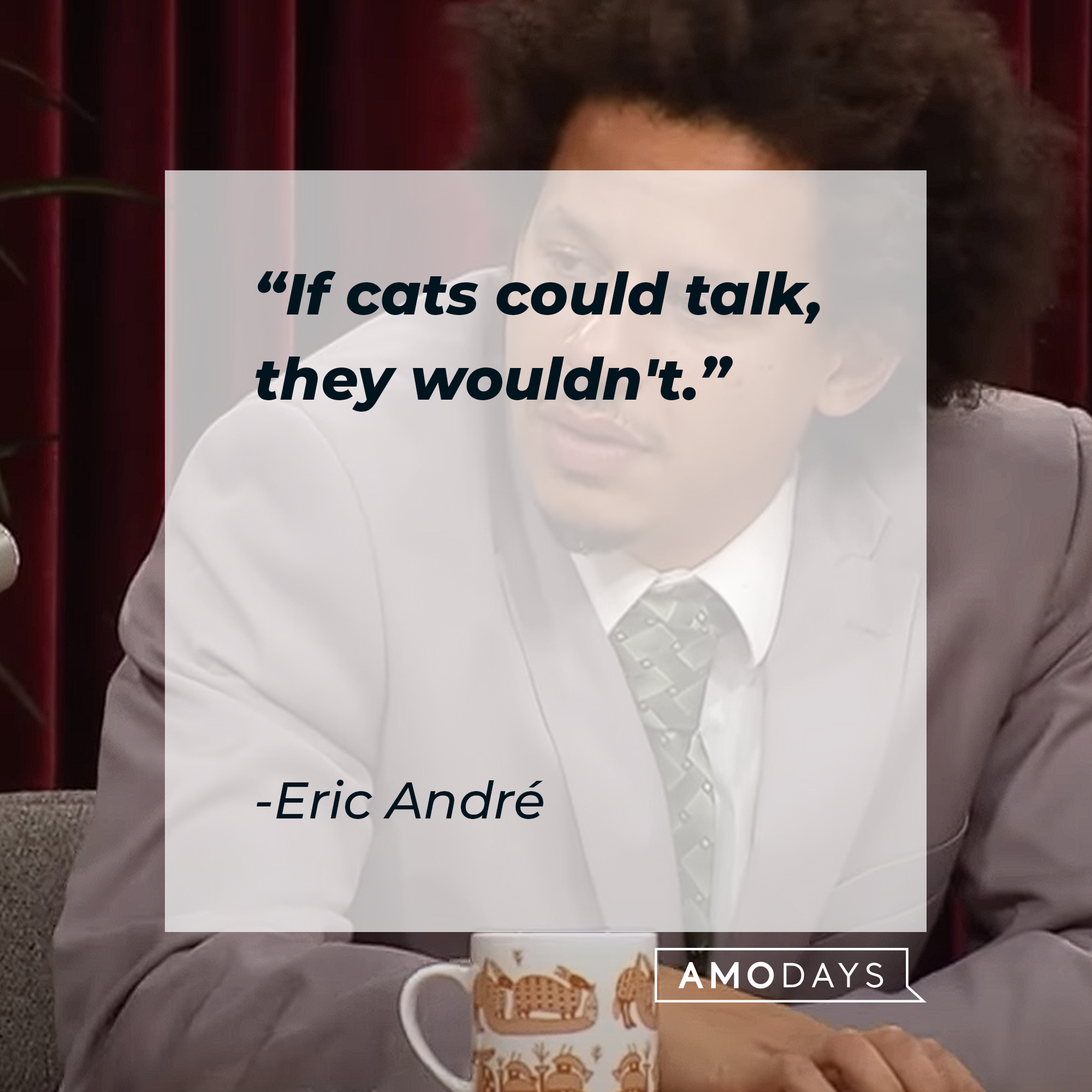 Eric André's quote: "If cats could talk, they wouldn't." | Source: Youtube.com/adultswim