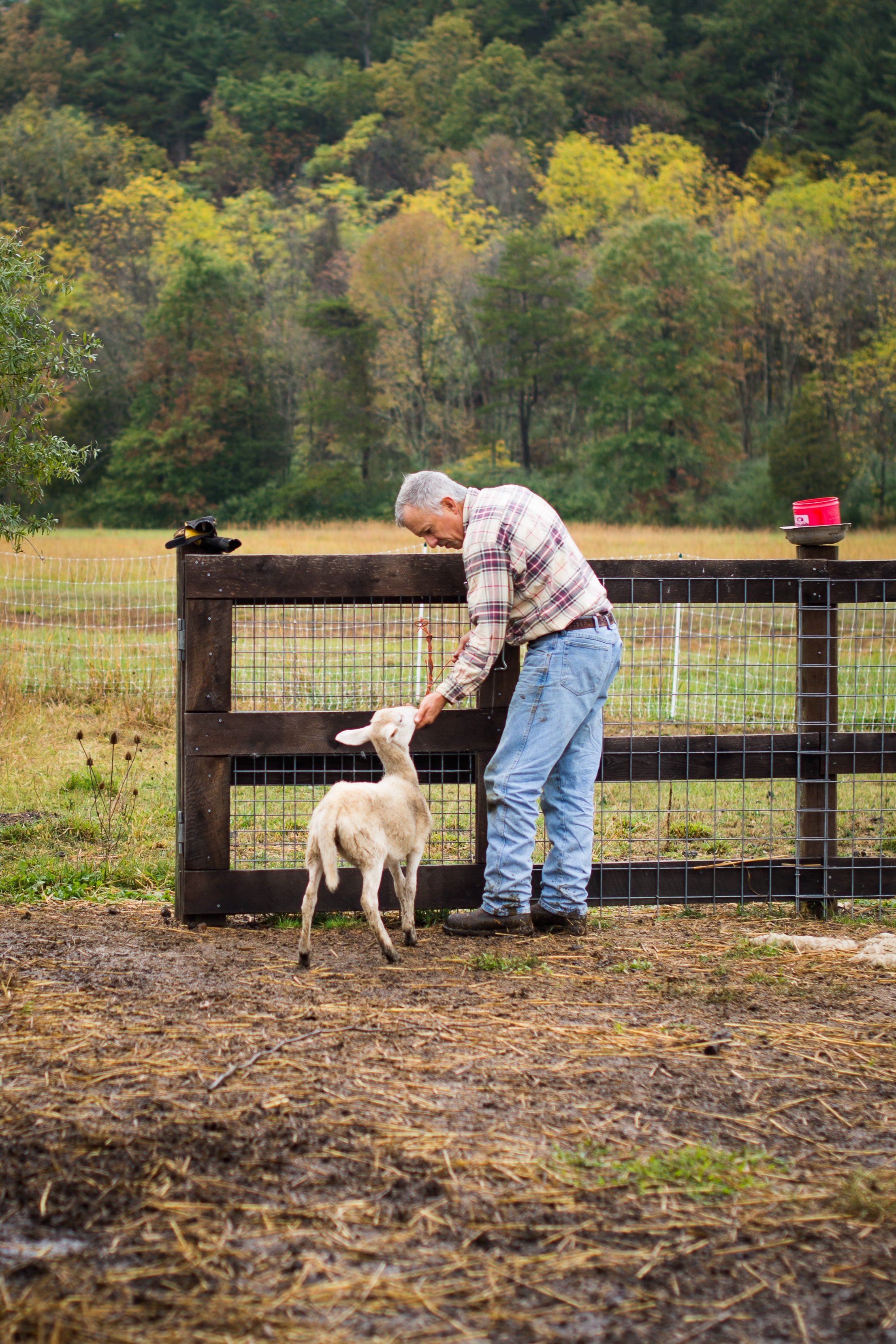 Frank Langley was a farmer, the son and grandson of farmers, and he loved the land. | Source: Unsplash