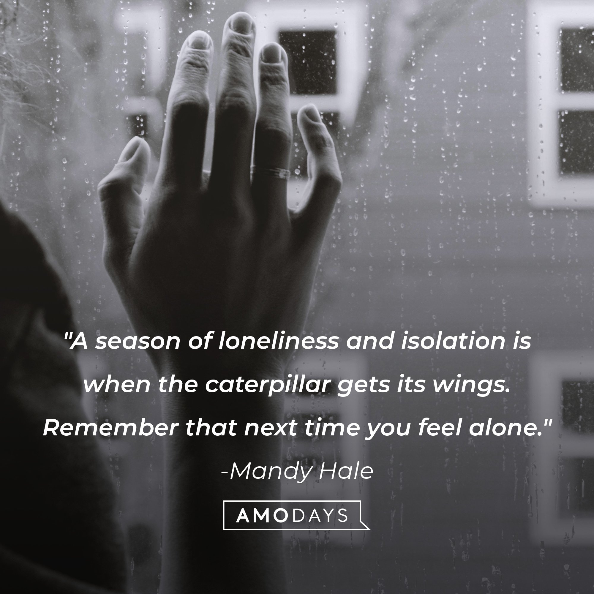 Mandy Hale’s quote: "A season of loneliness and isolation is when the caterpillar gets its wings. Remember that next time you feel alone." |  Image: AmoDays 