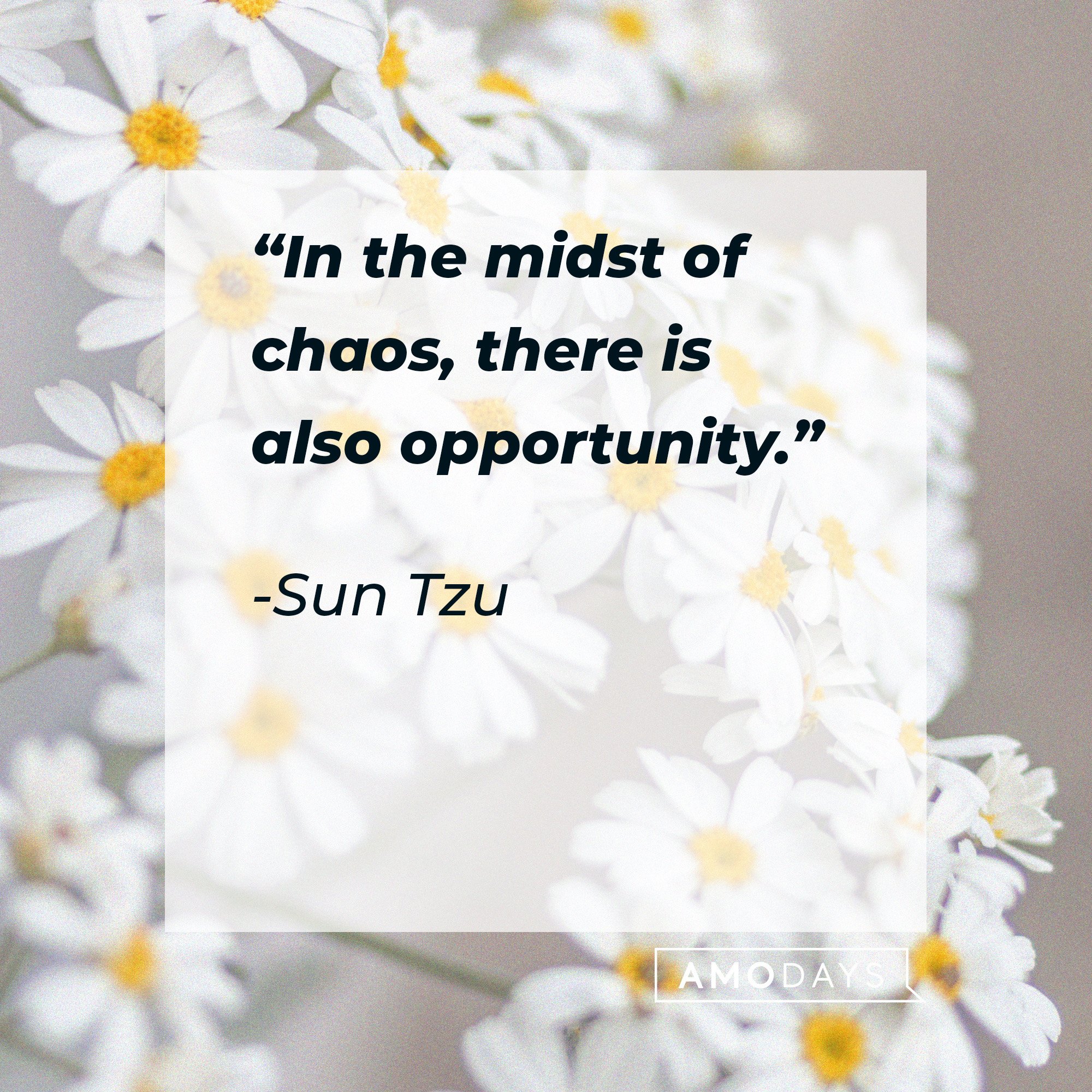 Sun Tzu's quote: “In the midst of chaos, there is also opportunity.” | Image: AmoDays