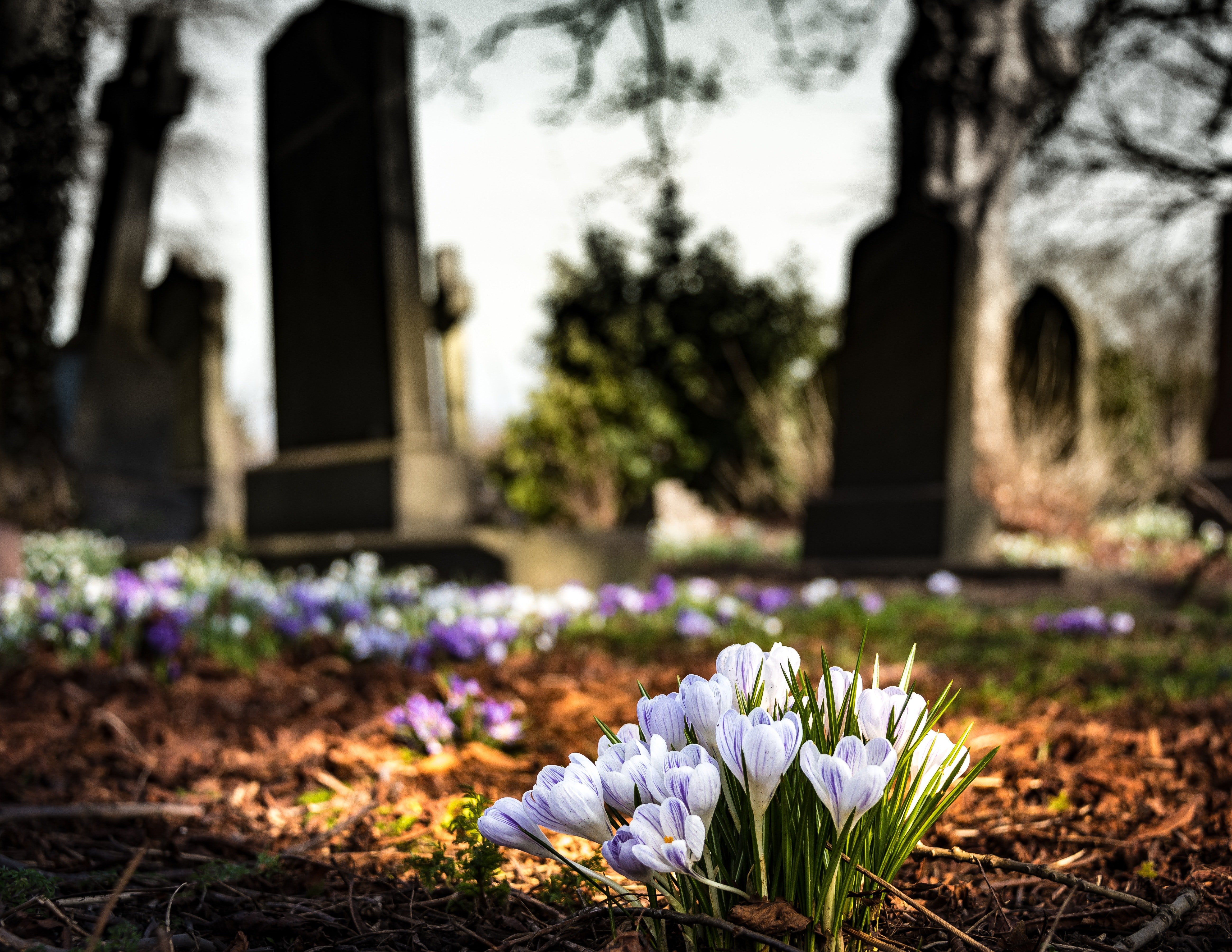 George decided to pay his dad a visit at the cemetery for the first time since he died. | Source: Pexels