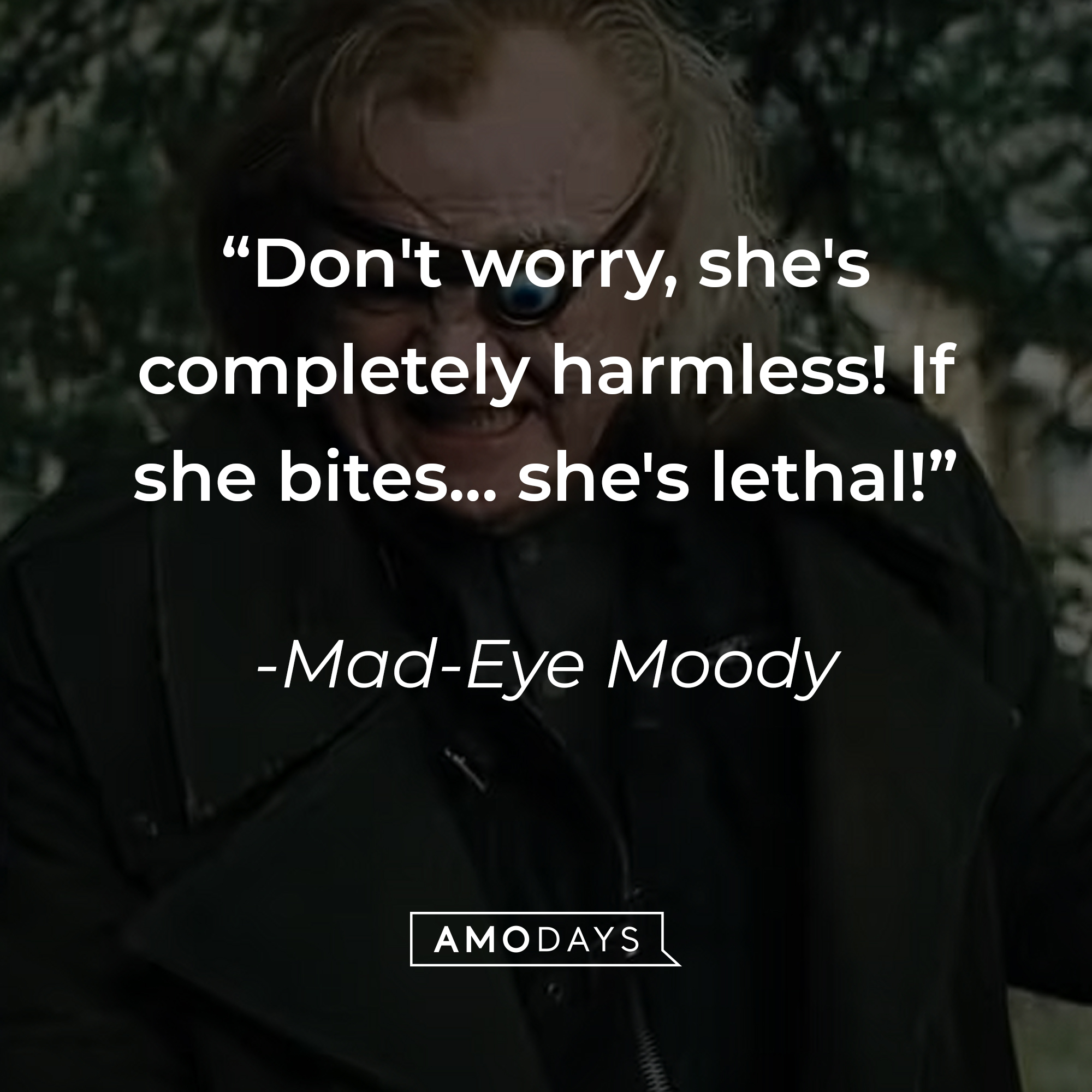 Mad-Eye Moody's quote: "Don't worry, she's completely harmless! If she bites... she's lethal!" | Source: youtube.com/harrypotter
