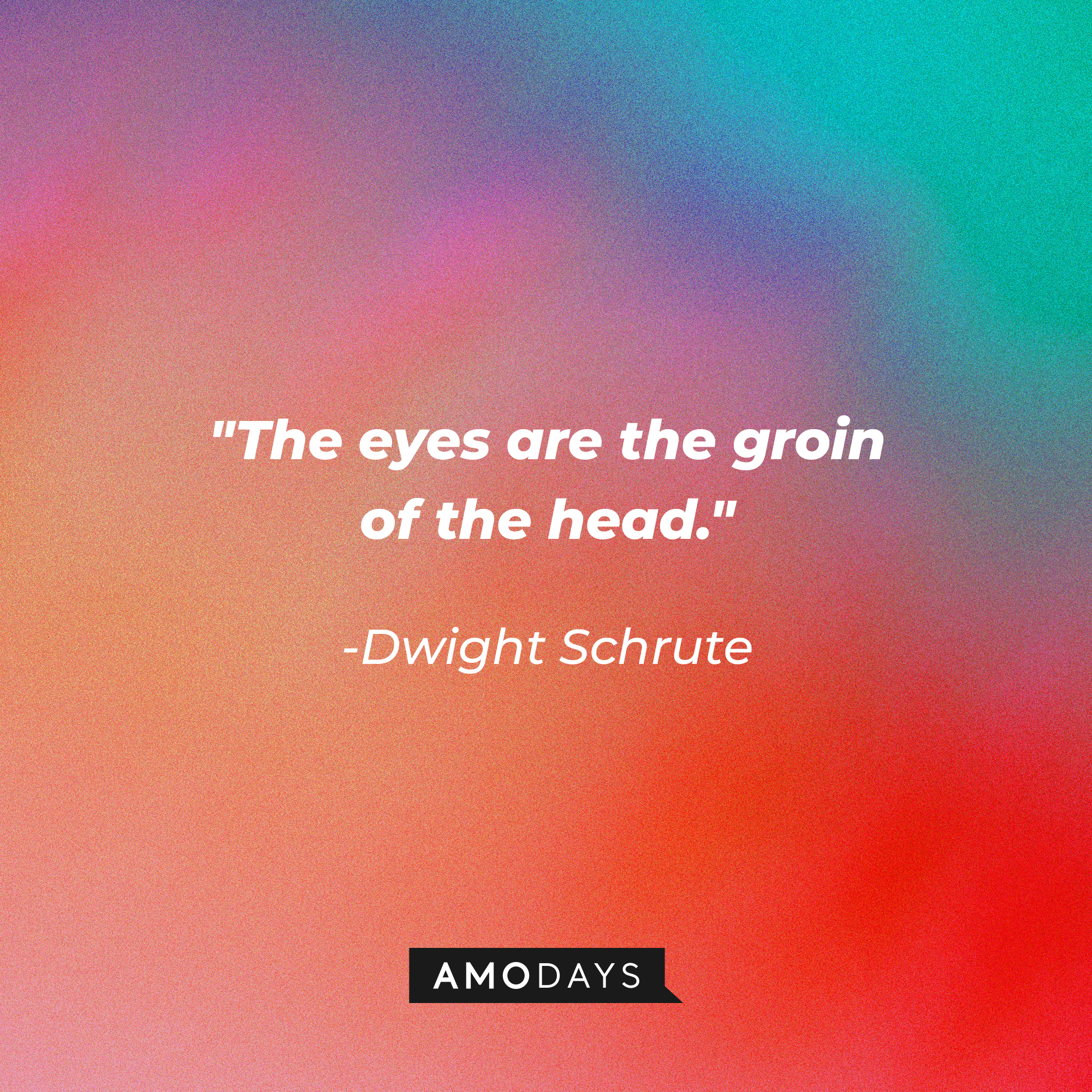 Dwight Schrute’s quote: "The eyes are the groin of the head." | Image: AmoDays