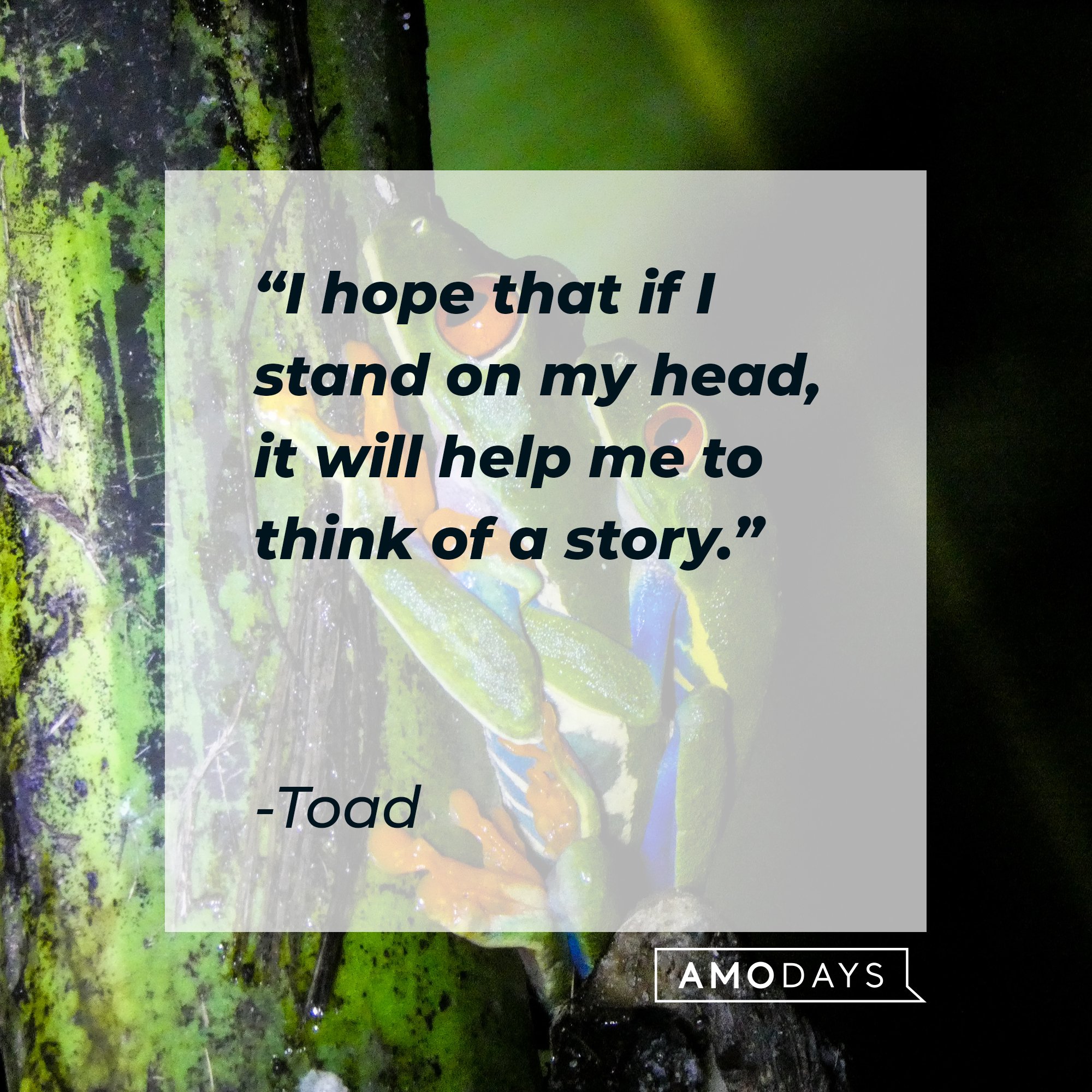 Toad's quote: "I hope that if I stand on my head, it will help me to think of a story." | Image: AmoDays