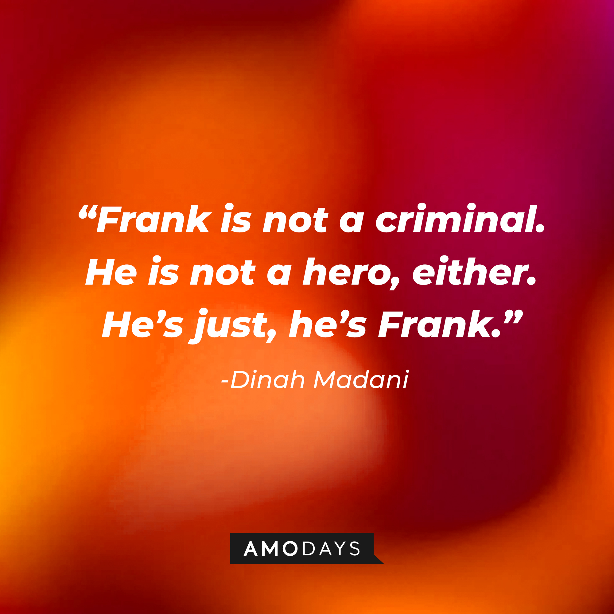 Dinah Madani’s quote: “Frank is not a criminal. He is not a hero either. He’s just, he’s Frank.” | Source: AmoDays