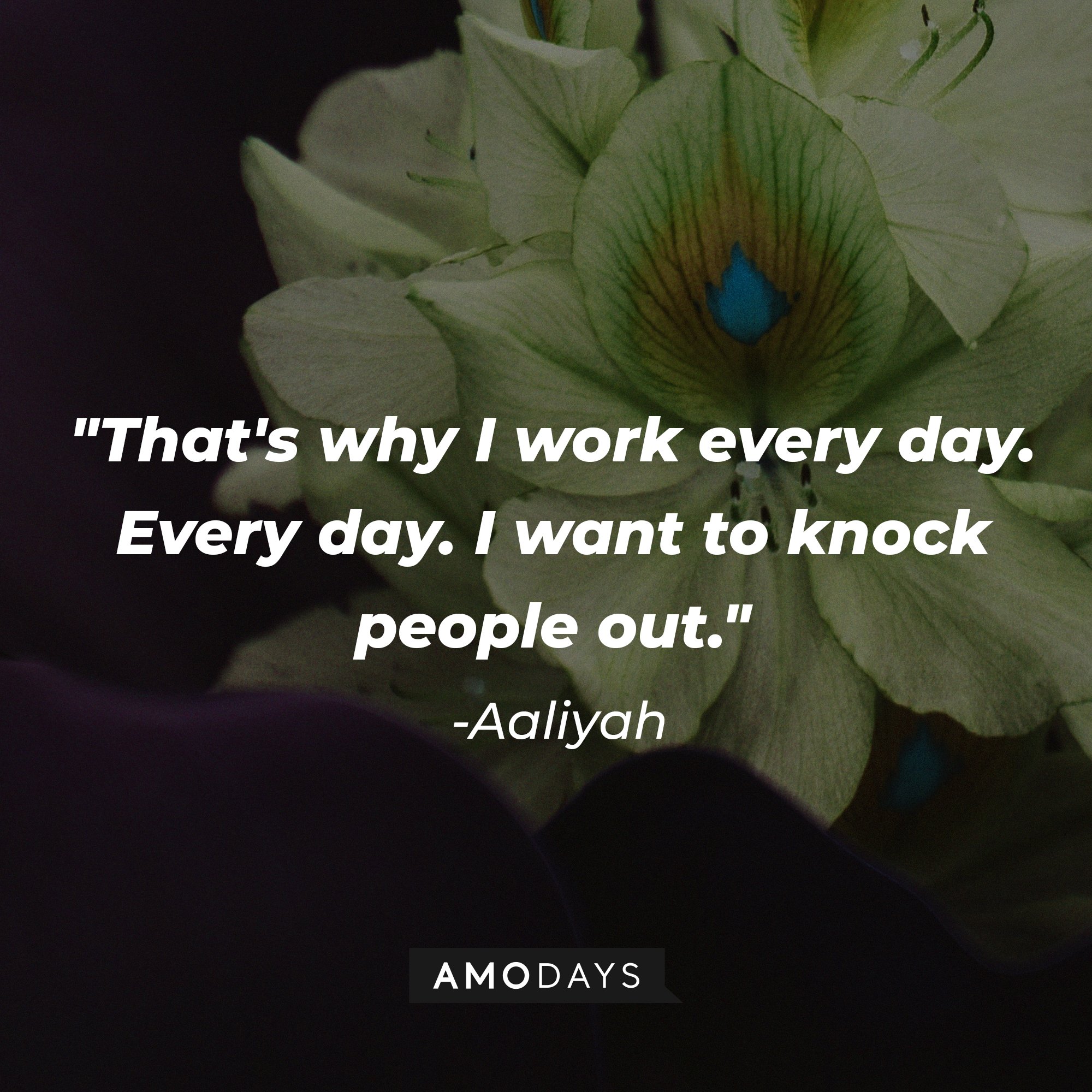 Aaliyah’s quote: "That's why I work every day. Every day. I want to knock people out." | Image: AmoDays