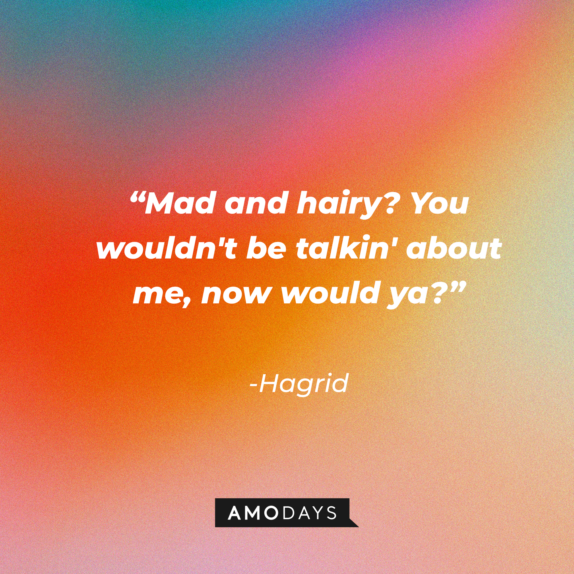 Hagrid's quote: "Mad and hairy? You wouldn't be talkin' about me, now would ya?" | Source: AmoDays