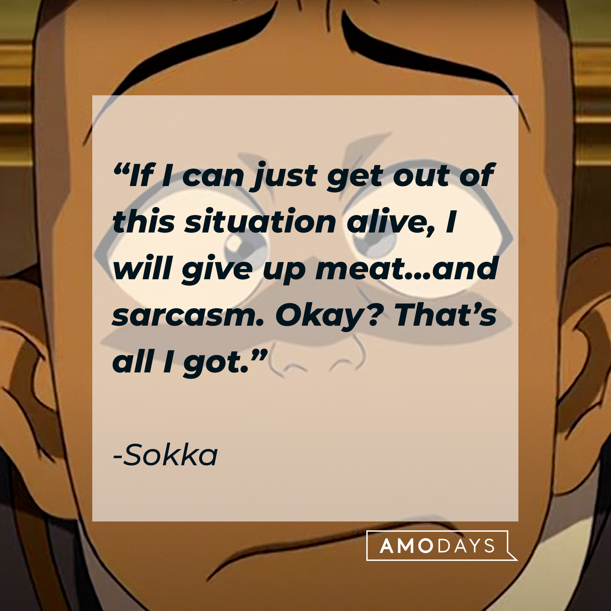Sokka, with his quote: “If I can just get out of this situation alive, I will give up meat... and sarcasm. Okay? That’s all I got.” | Source: Youtube.com/TeamAvatar