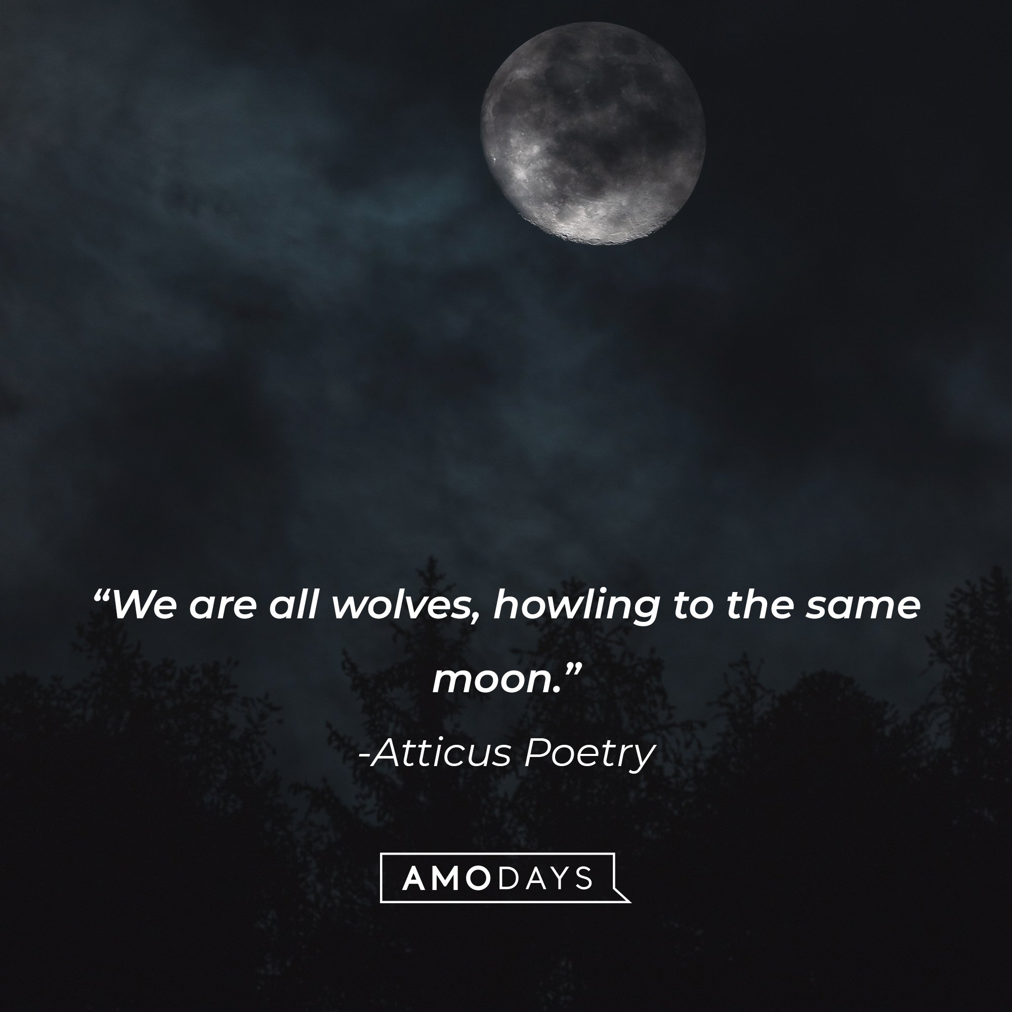 Atticus Poetry's quote: “We are all wolves, howling to the same moon.” | Image: AmoDays