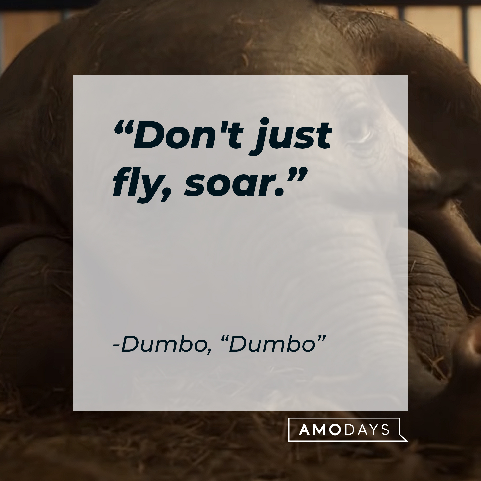 Dumbo's "Dumbo" quote: "Don't just fly, soar." | Source: Youtube.com/DisneyMovieTrailers