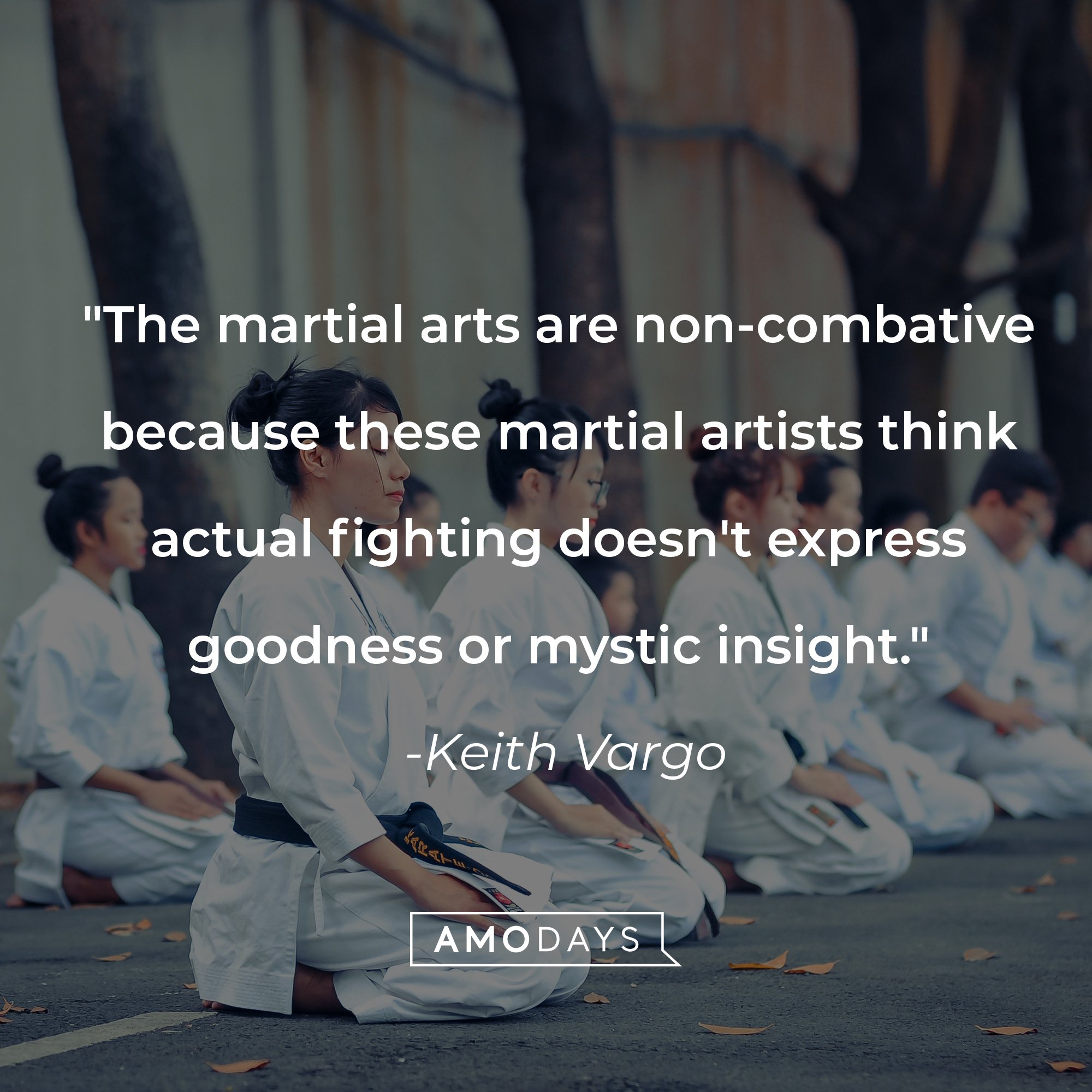 Keith Vargo’s quote: "The martial arts are non-combative because these martial artists think actual fighting doesn't express goodness or mystic insight." | Image: AmoDays   
