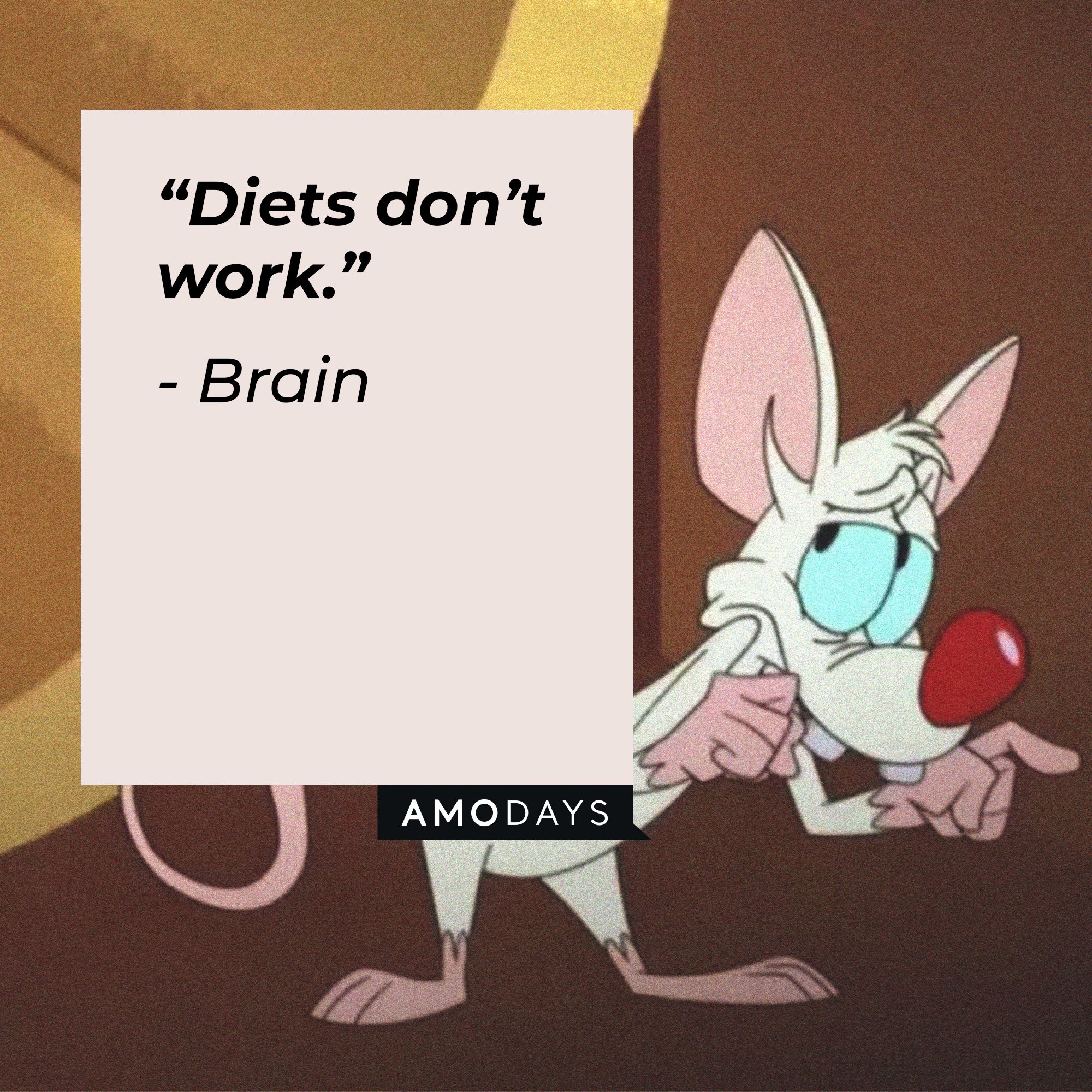 Brain's quote: “Diets don’t work.” | Image: AmoDays