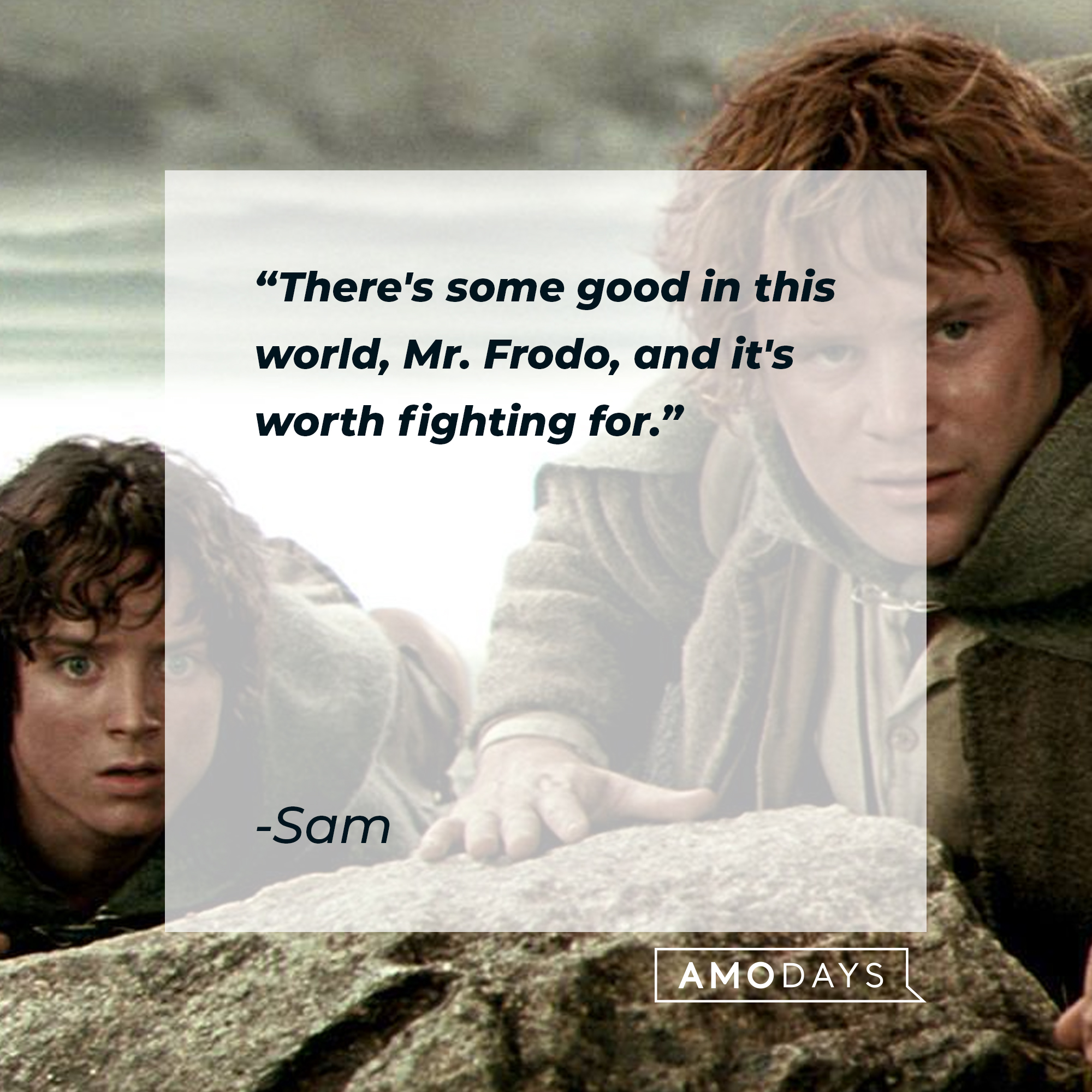 Sam's quote: “There's some good in this world, Mr. Frodo, and it's worth fighting for.” | Source: facebook.com/lordoftheringstrilogy