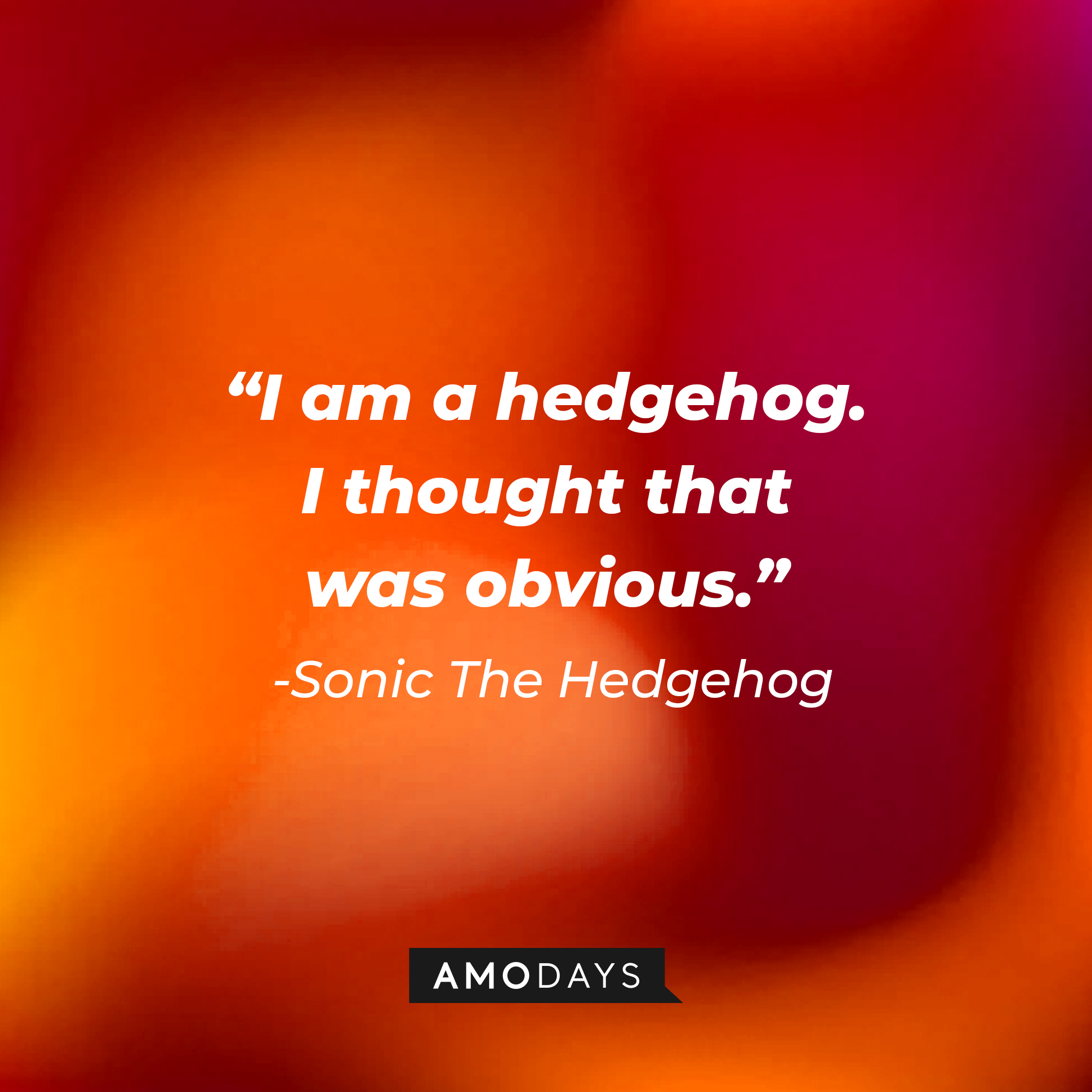Sonic The Hedgehog's quote: "I am a hedgehog. I thought that was obvious." | Source: Amodays