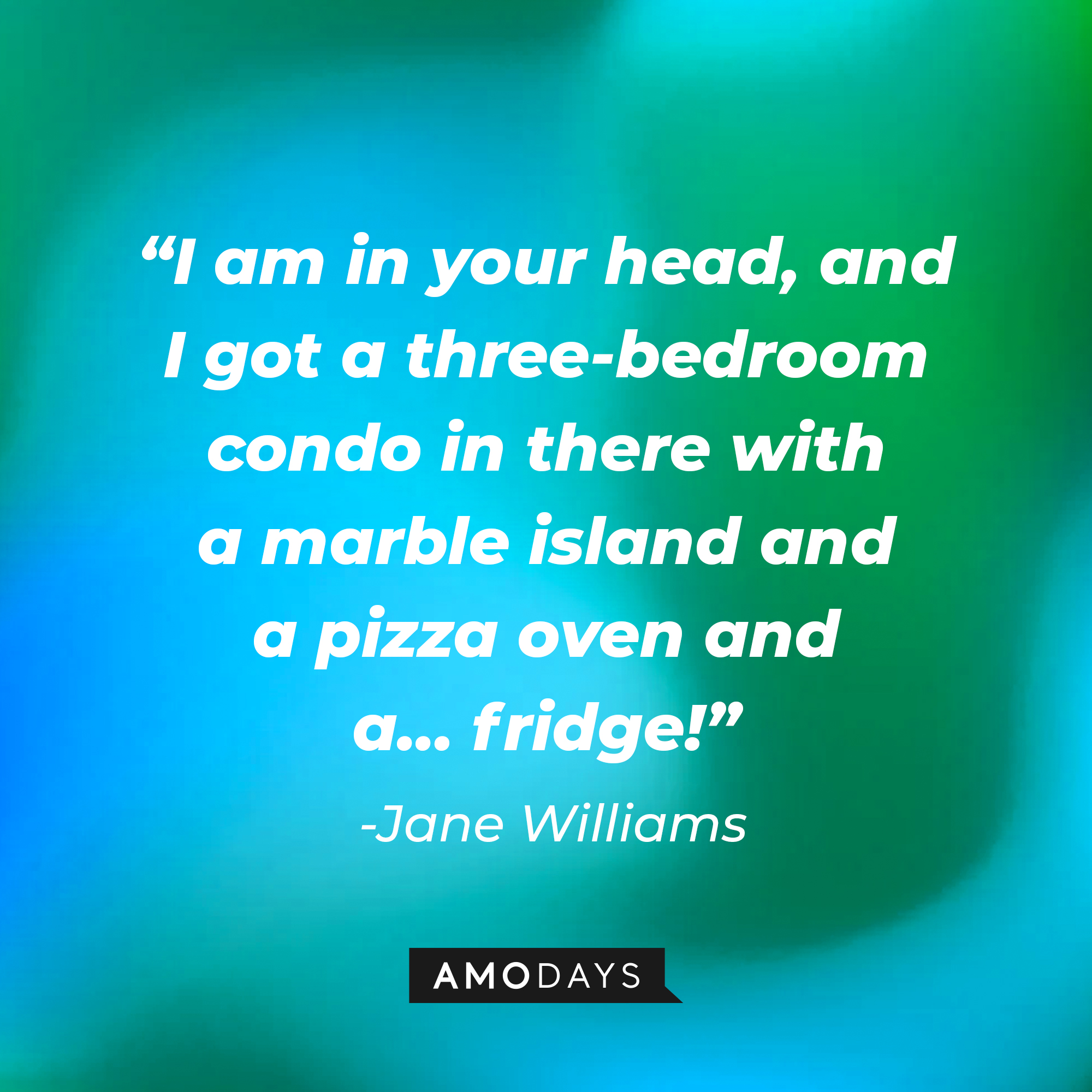 Jane Williams' quote, "I am in your head, and I got a three-bedroom condo in there with a marble island and a pizza oven and a… fridge!" | Source: Facebook/HappyEndings