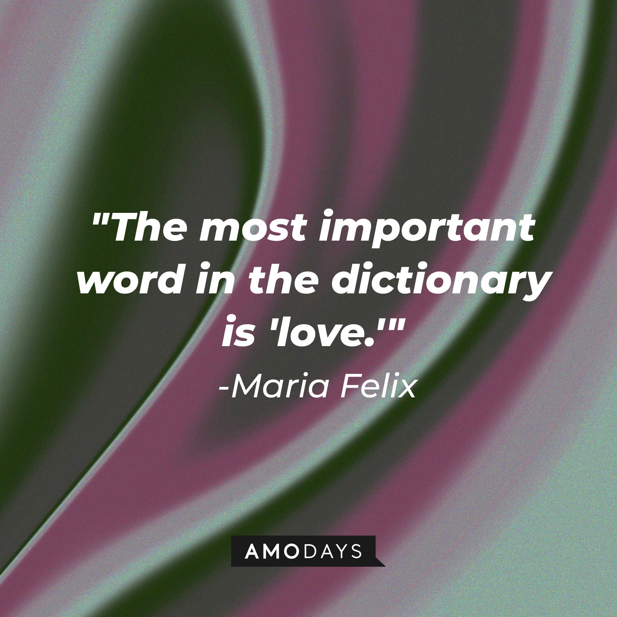 Maria Felix’s quote: "The most important word in the dictionary is 'love.'" | Image: AmoDays