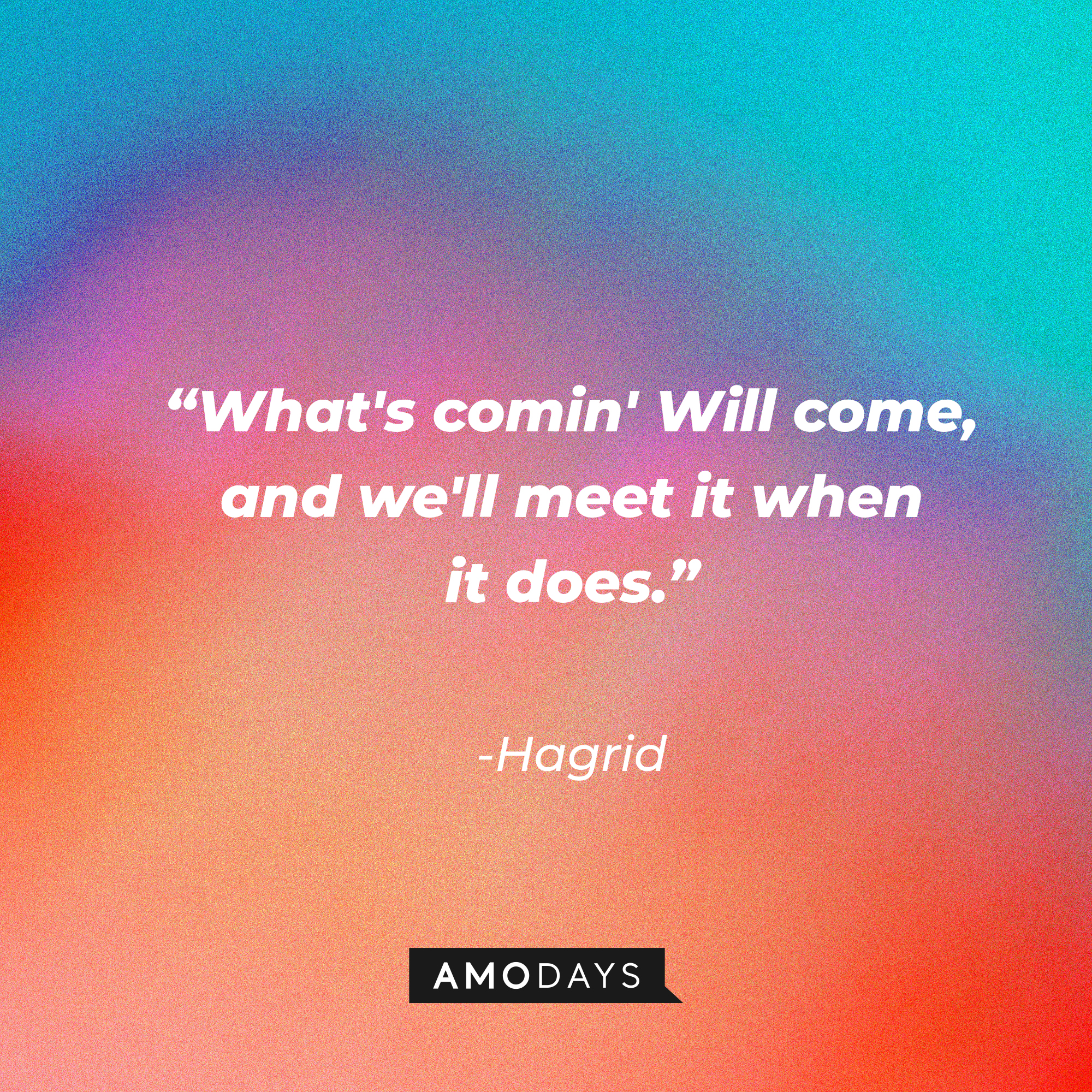 Hagrid's quote: "What's comin' Will come, and we'll meet it when it does." | Source: AmoDays