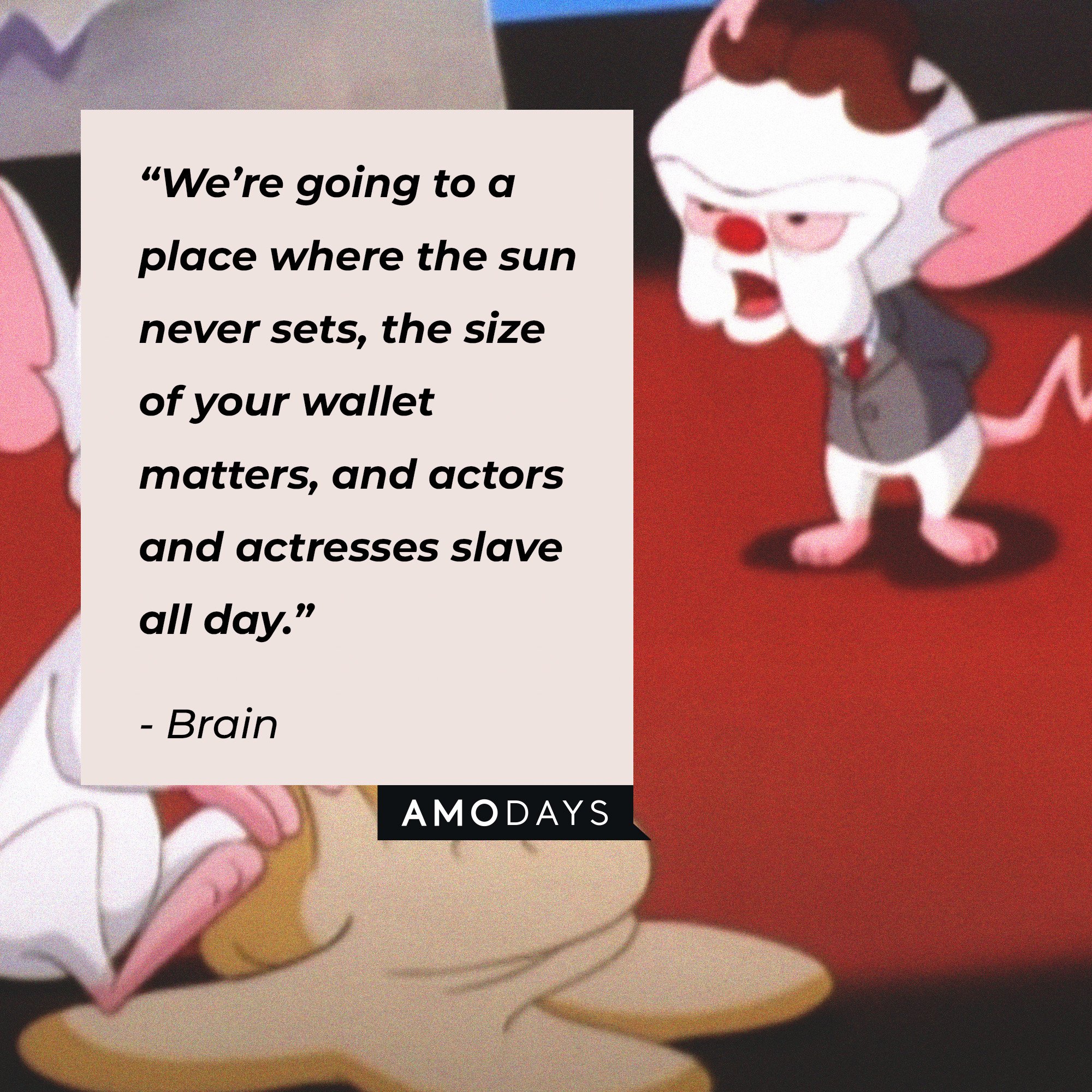 Brain's quote: “We’re going to a place where the sun never sets, the size of your wallet matters, and actors and actresses slave all day.” | Image: AmoDays