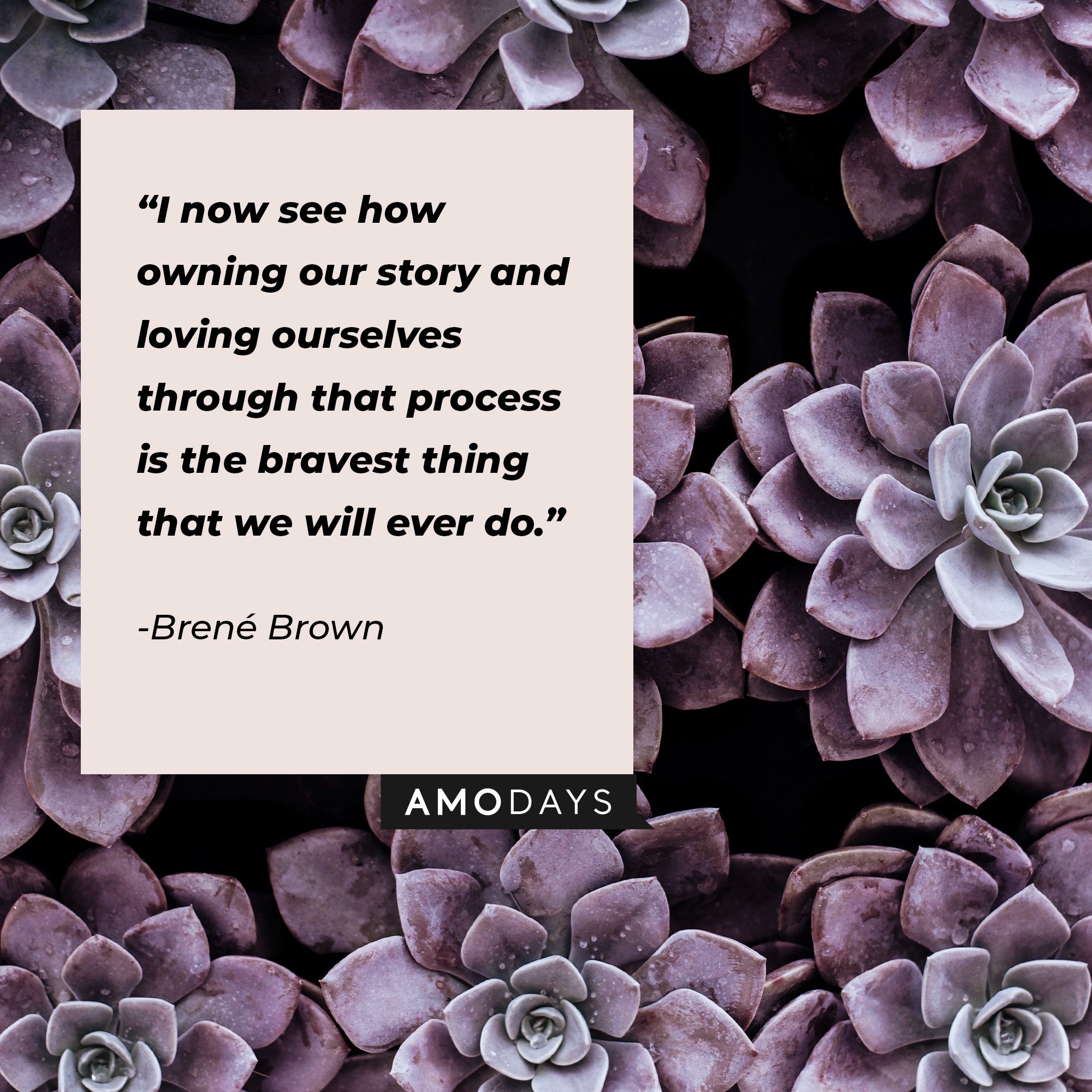  Brené Brown’s quote: “I now see how owning our story and loving ourselves through that process is the bravest thing that we will ever do.” | Image: AmoDays  