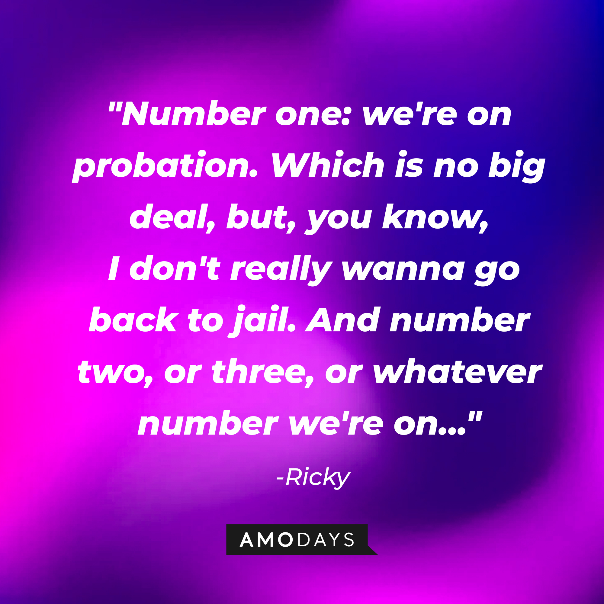 Ricky's quote, "Number one: we're on probation. Which is no big deal, but, you know, I don't really wanna go back to jail. And number two, or three, or whatever number we're on…." | Source: AmoDays