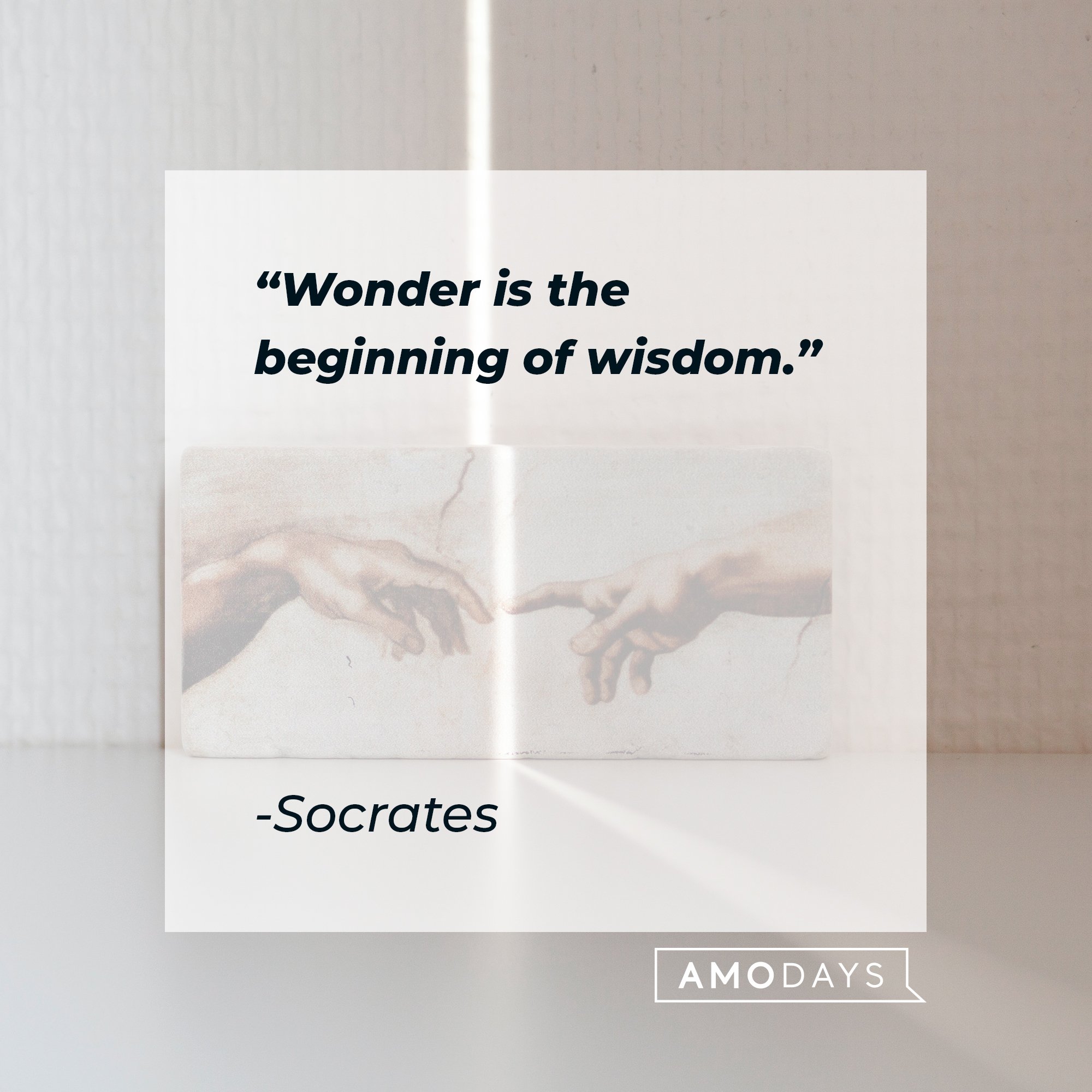 Socrates’ quote: "Wonder is the beginning of wisdom." |  Image: AmoDays