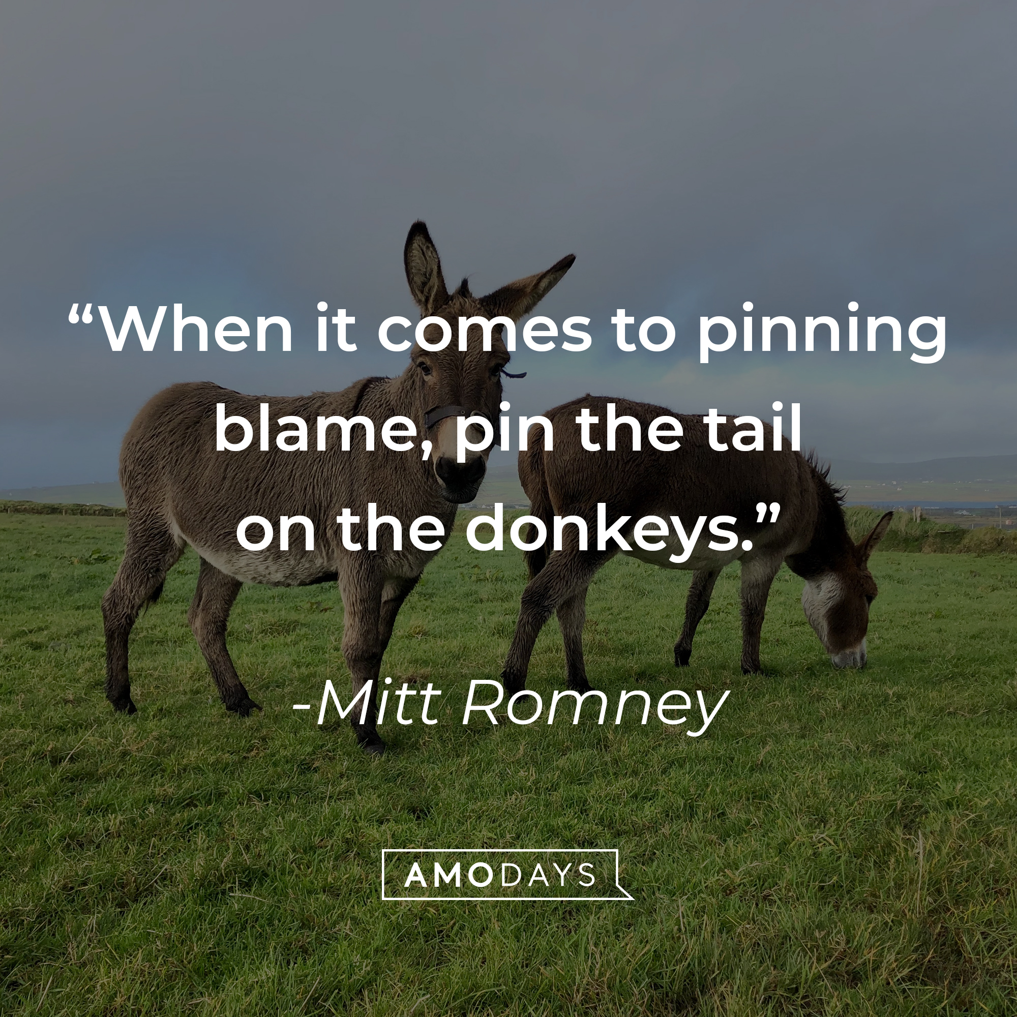 Mittt Romney's quote: "When it comes to pinning blame, pin the tail on the donkeys." | Source: Unsplash