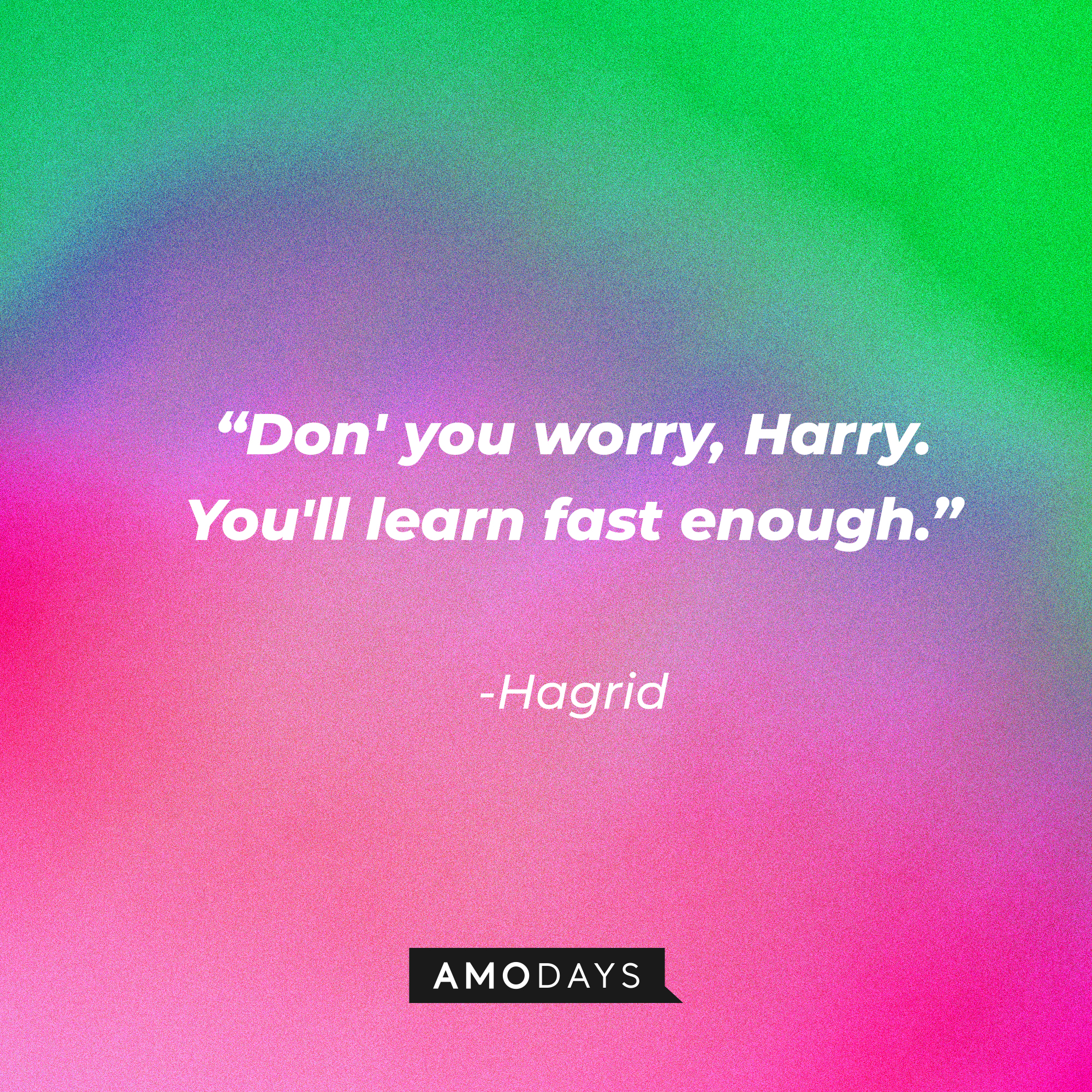 Hagrid's quote: "Don' you worry, Harry. You'll learn fast enough." | Source: AmoDays
