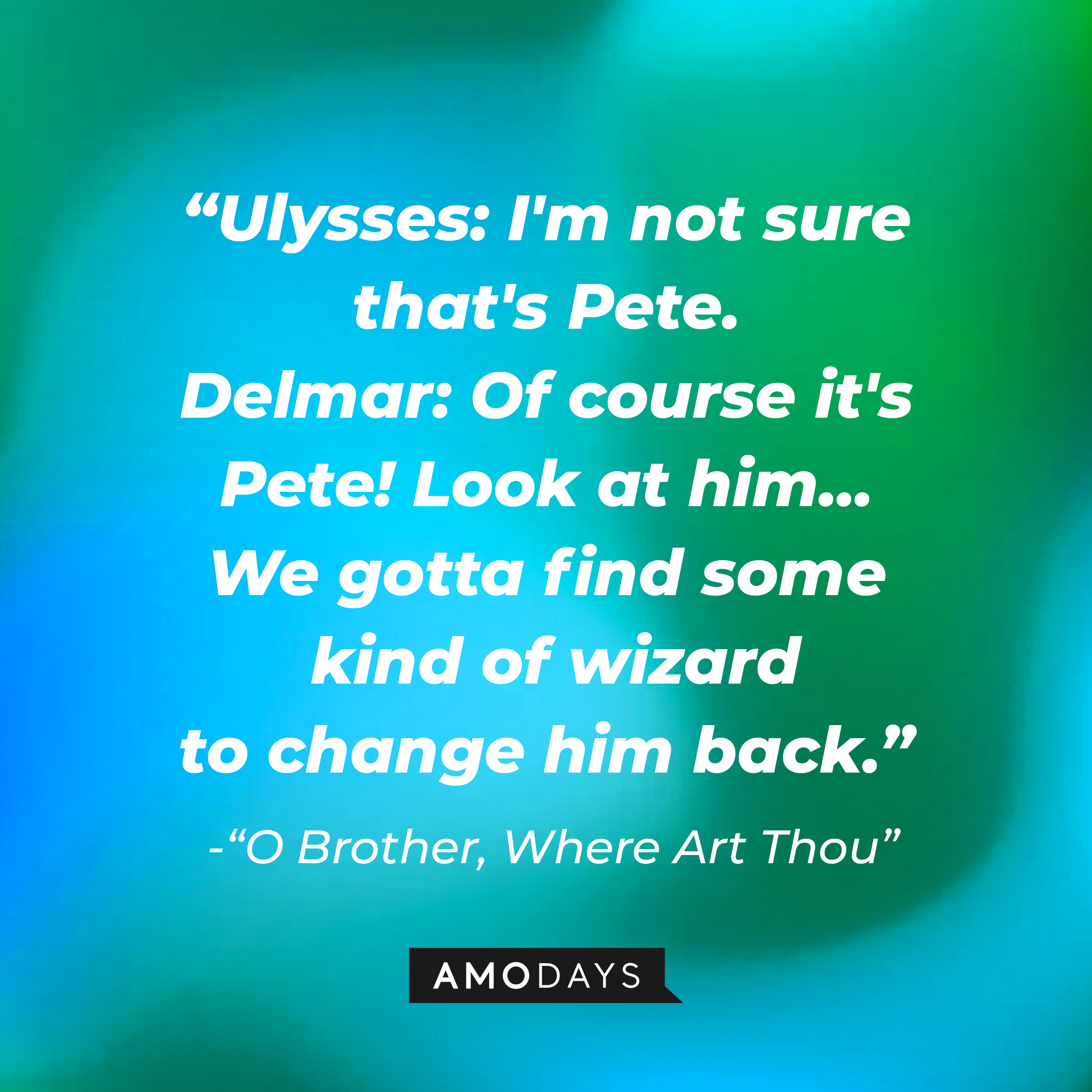 Delmar O'Donnell's dialogue in "O Brother, Where Art Thou:" "Ulysses: I'm not sure that's Pete. Delmar: Of course it's Pete! Look at him... We gotta find some kind of wizard to change him back."  | Source: AmoDays
