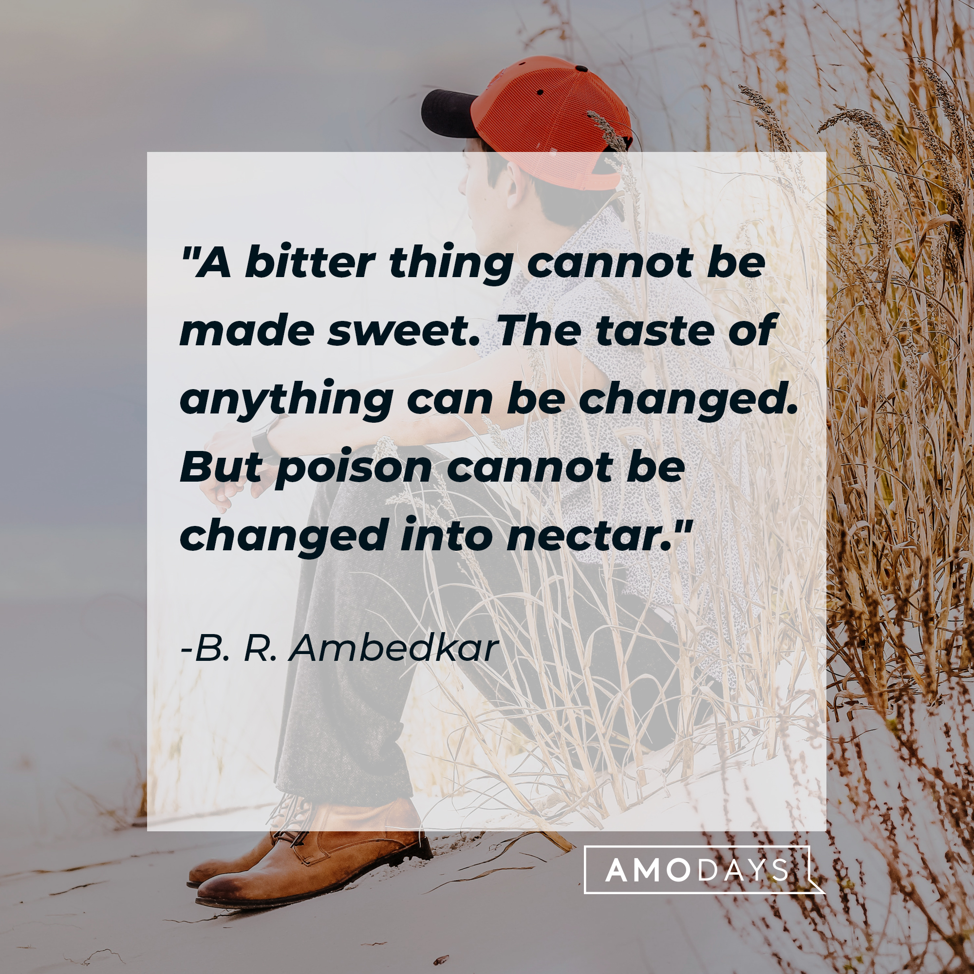 B. R. Ambedkar's quote: "A bitter thing cannot be made sweet. The taste of anything can be changed. But poison cannot be changed into nectar." | Source: Unsplash